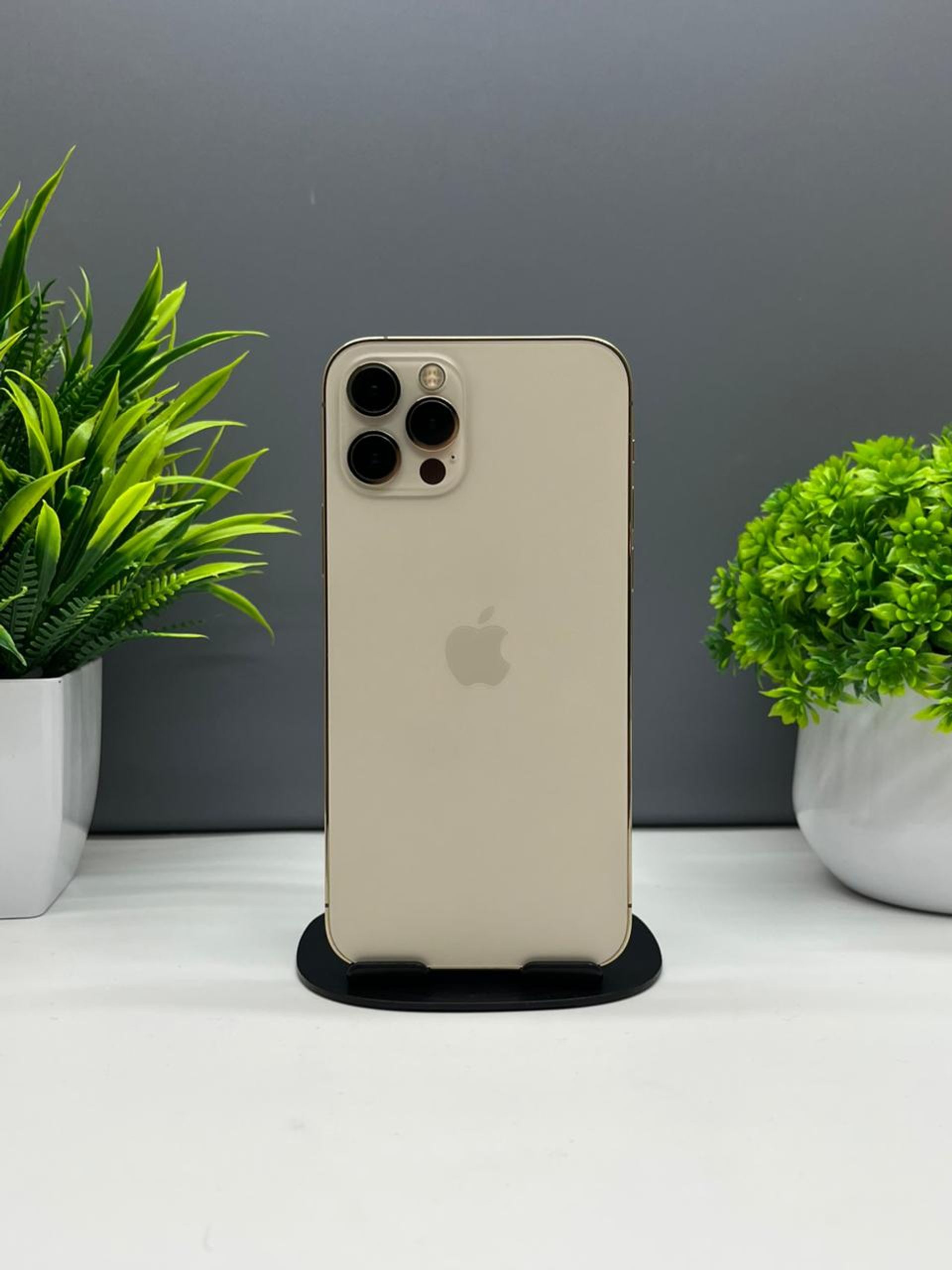 69014cc7ea01ee8d1458e8a7 - фото_0