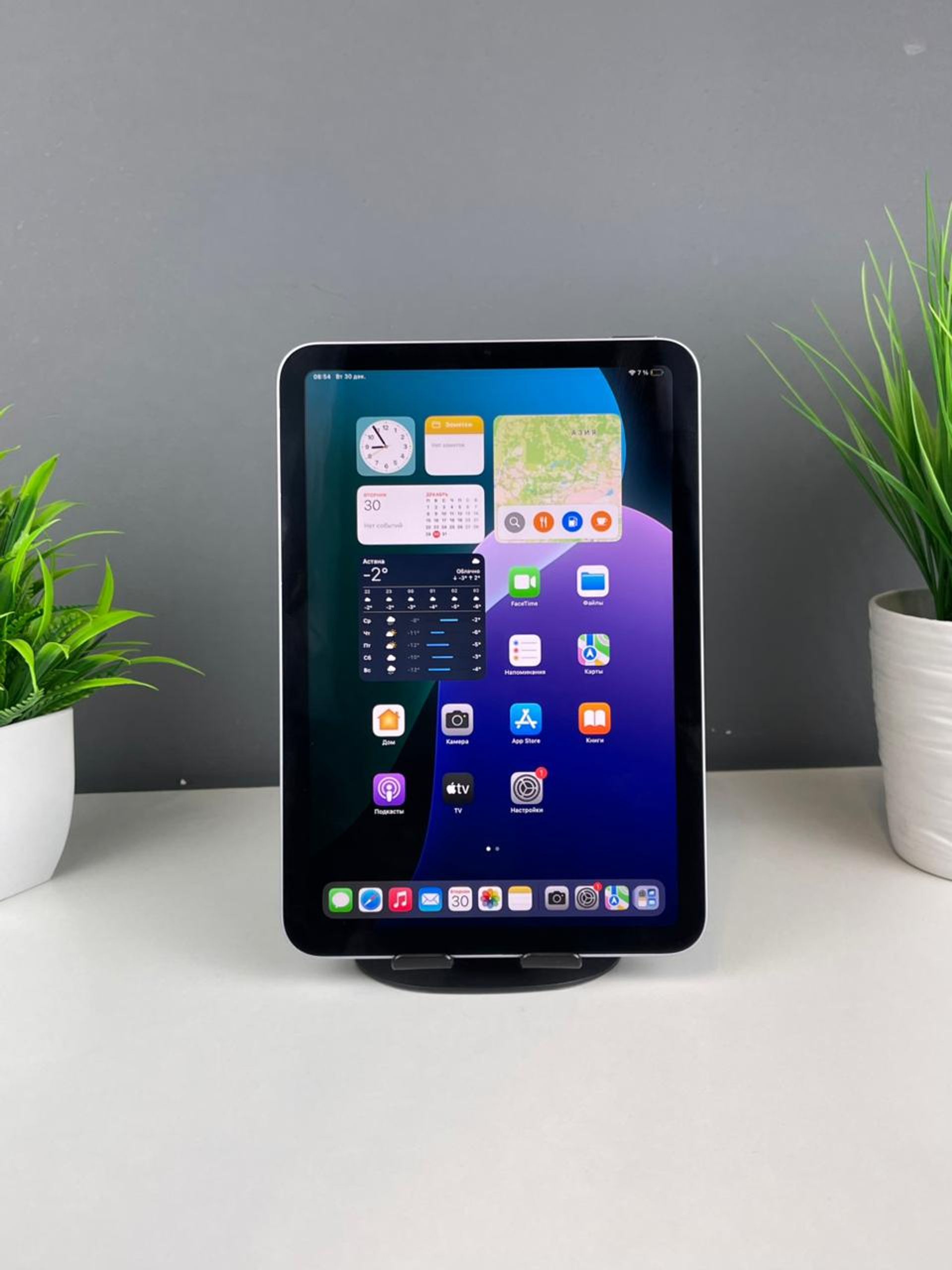 Apple iPad mini 8.3