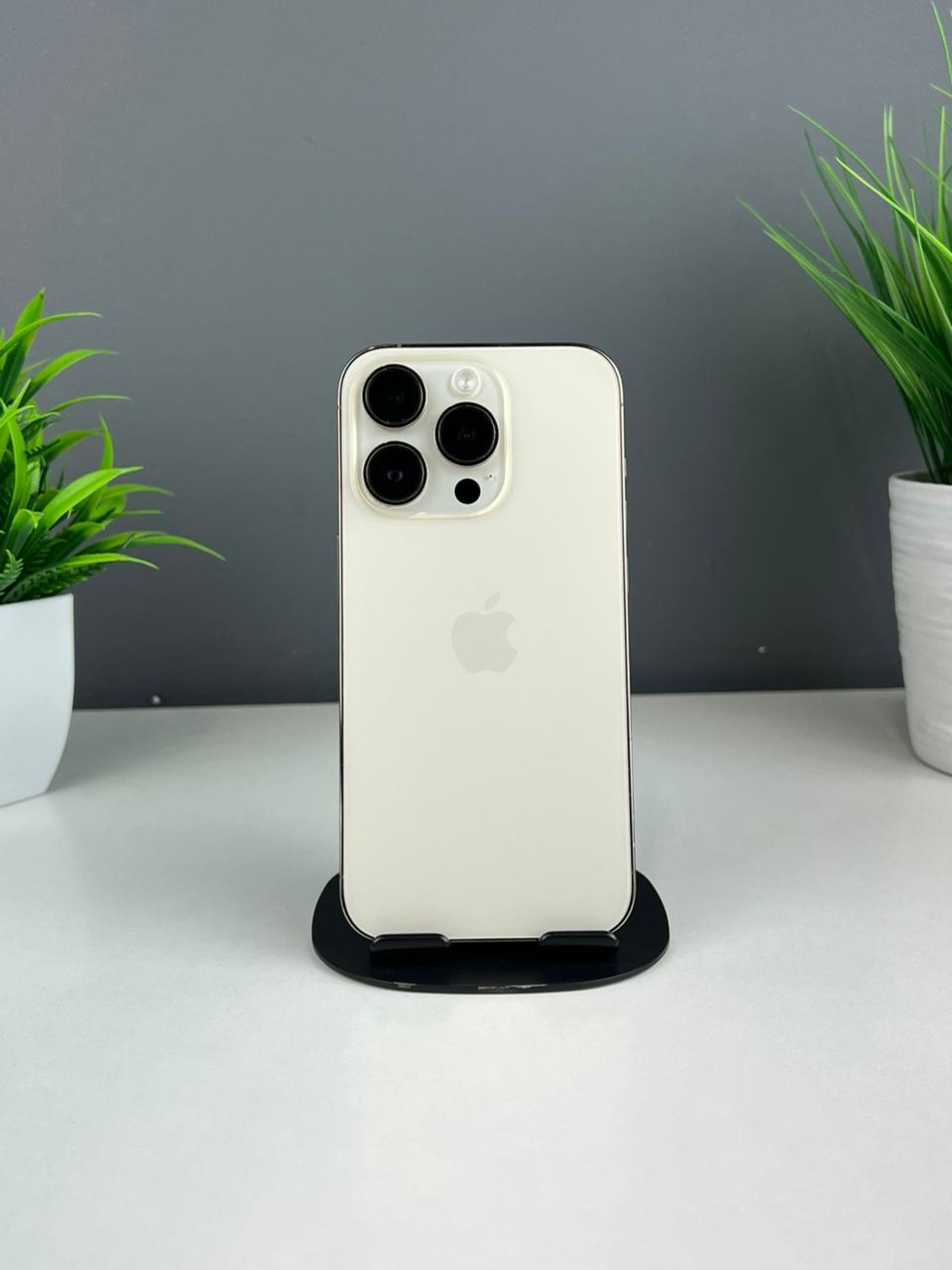 692ebc383618191671f96511 - фото_0