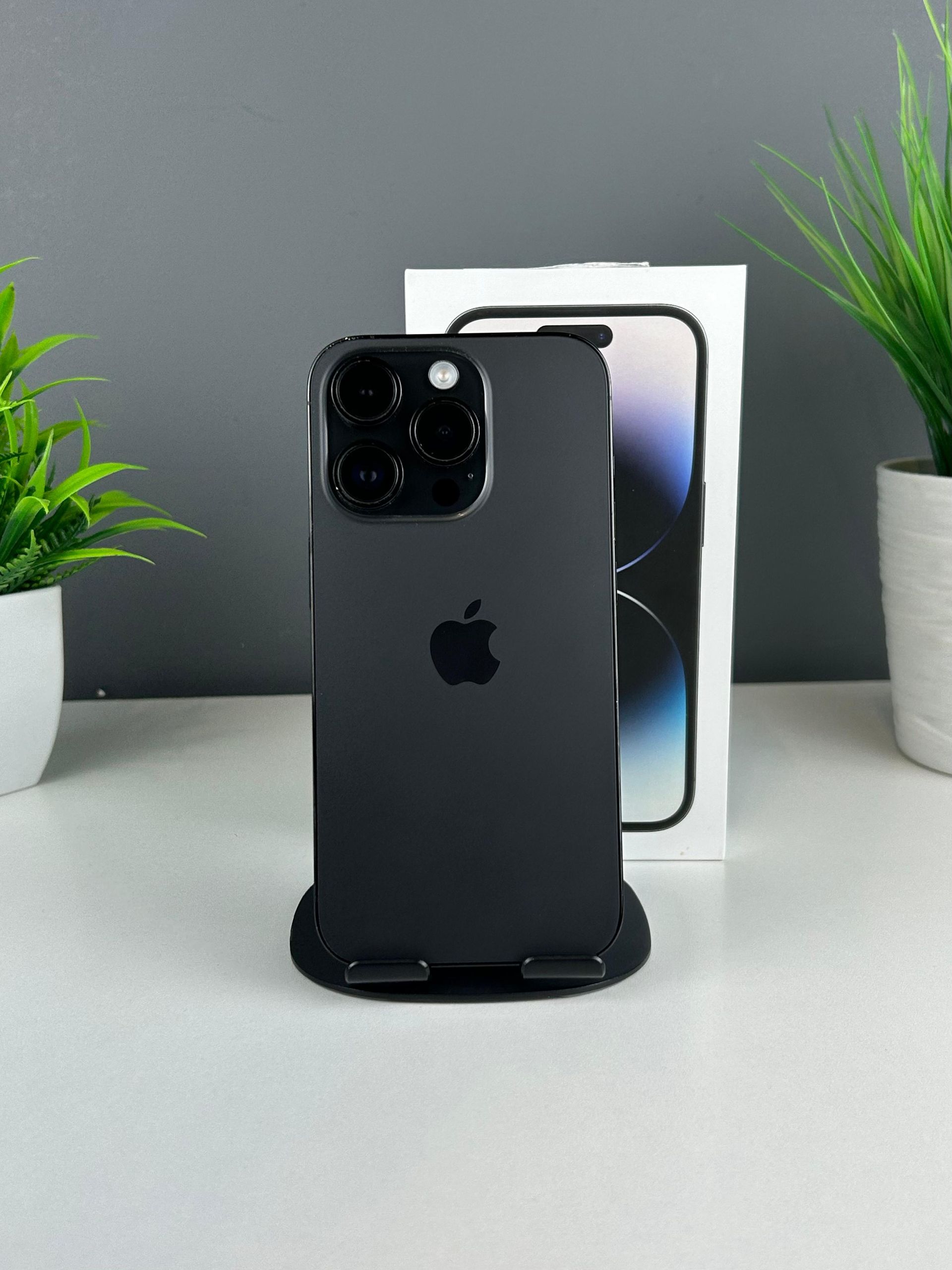 6921acd436181916718f837f - фото_0