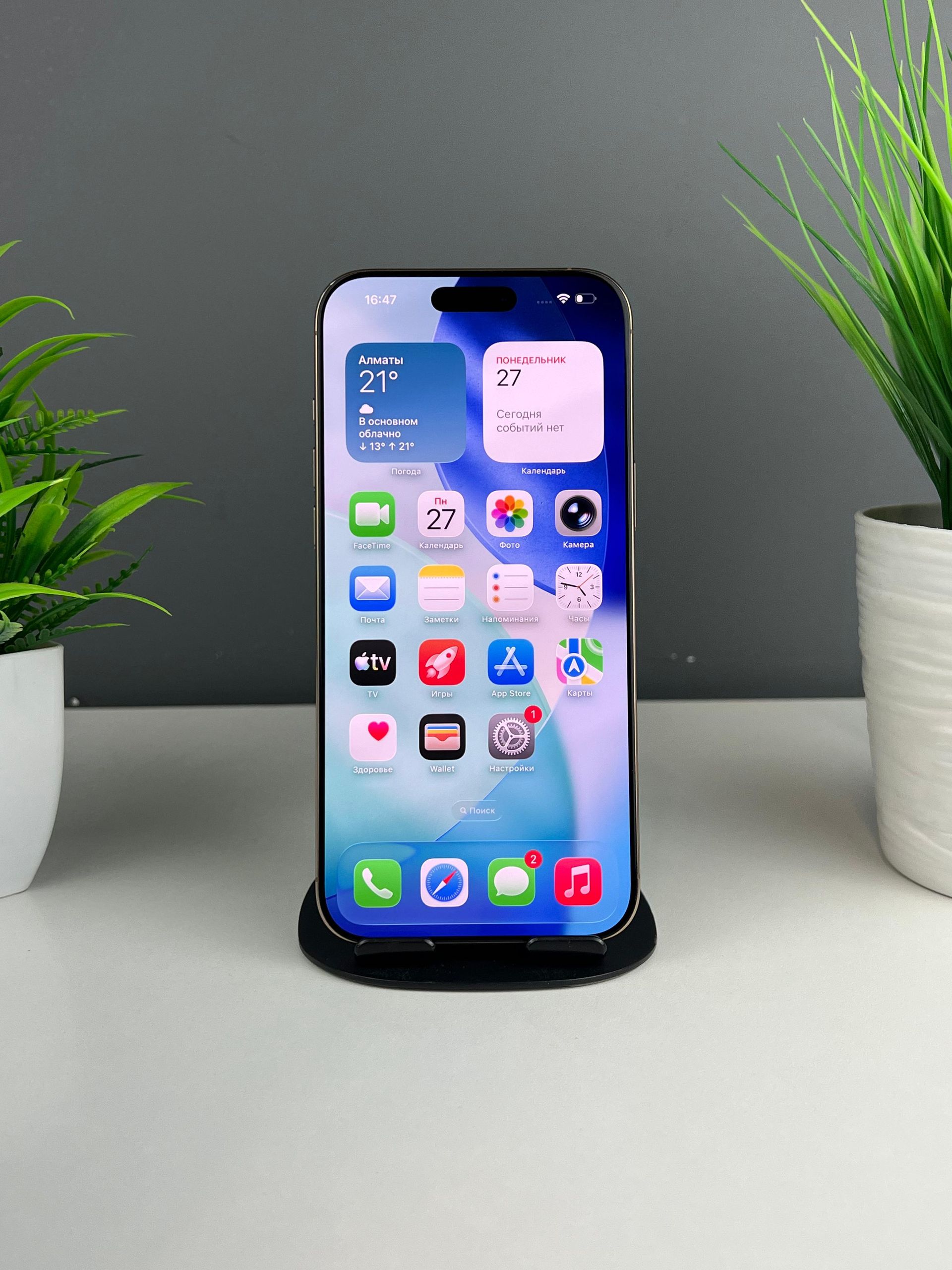 Apple iPhone 16 Pro Max  256 GB