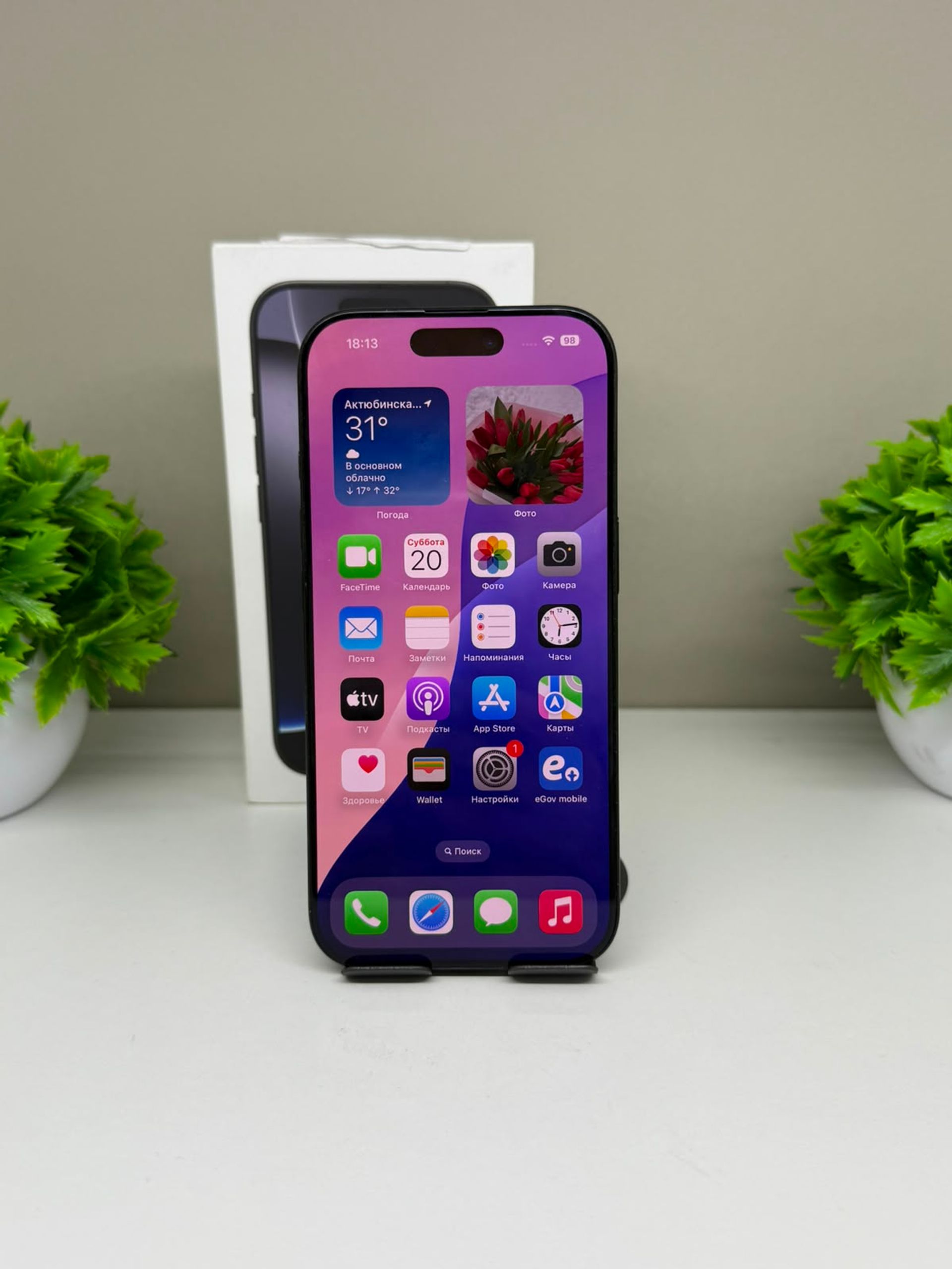 Apple iPhone 16 Pro 256 GB