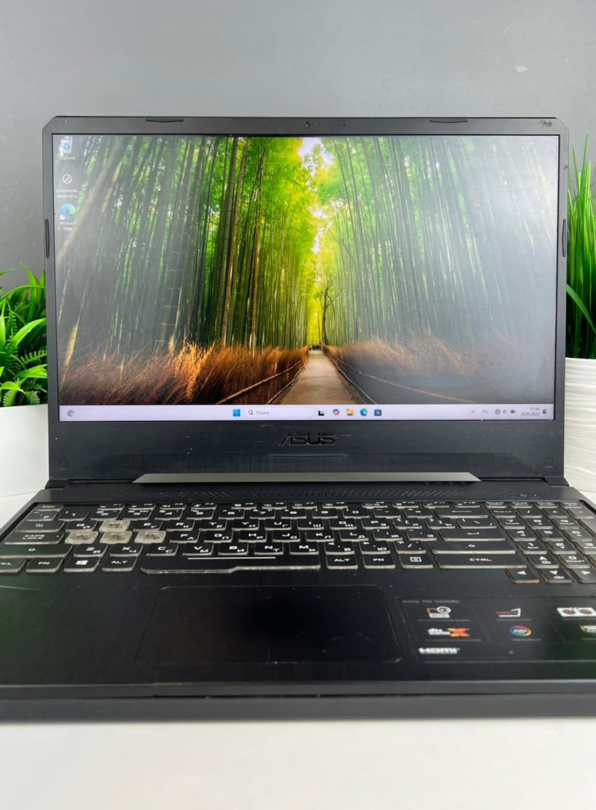 Asus Ryzen 5 (4-е поколение) 2020-2022 (6 ядер / 12 потоков)