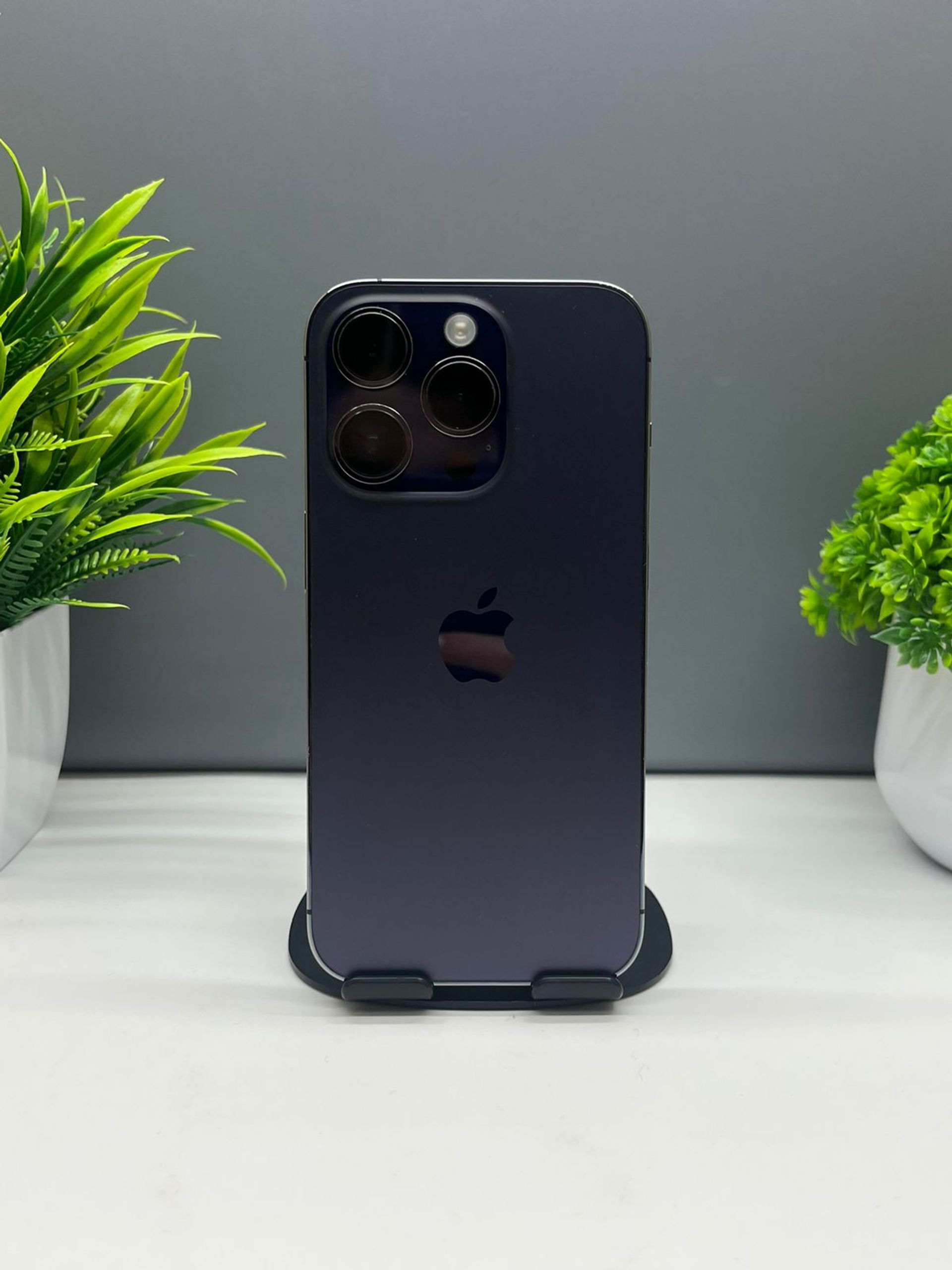 692db9333618191671c82de8 - фото_0