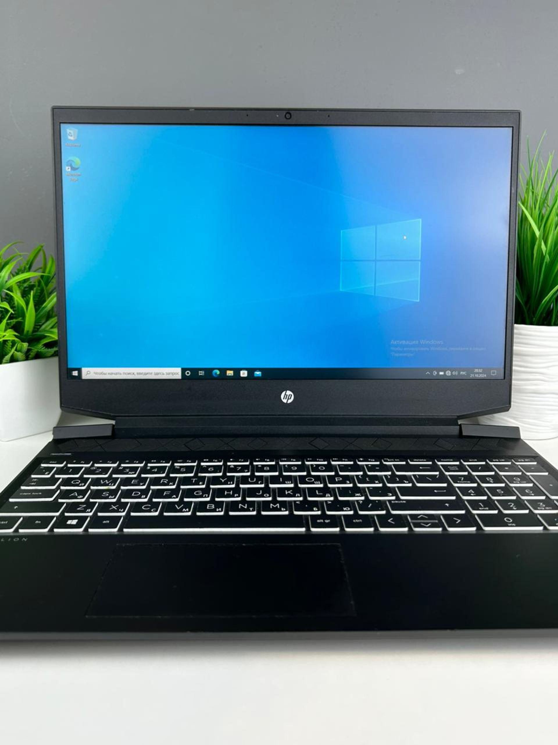 690b10fc3618191671c28450 - фото_2