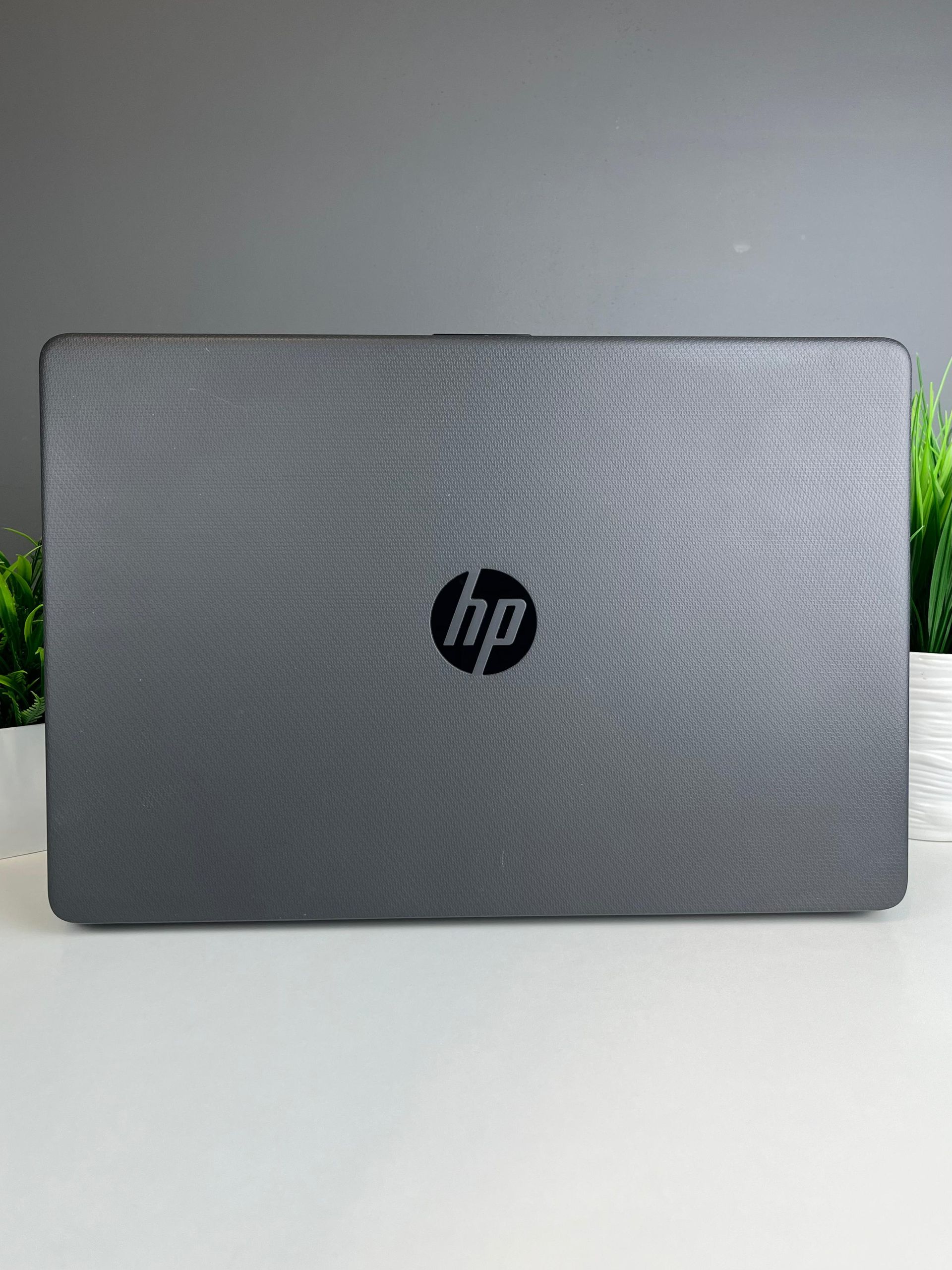 690b10fa3618191671c28403 - фото_1