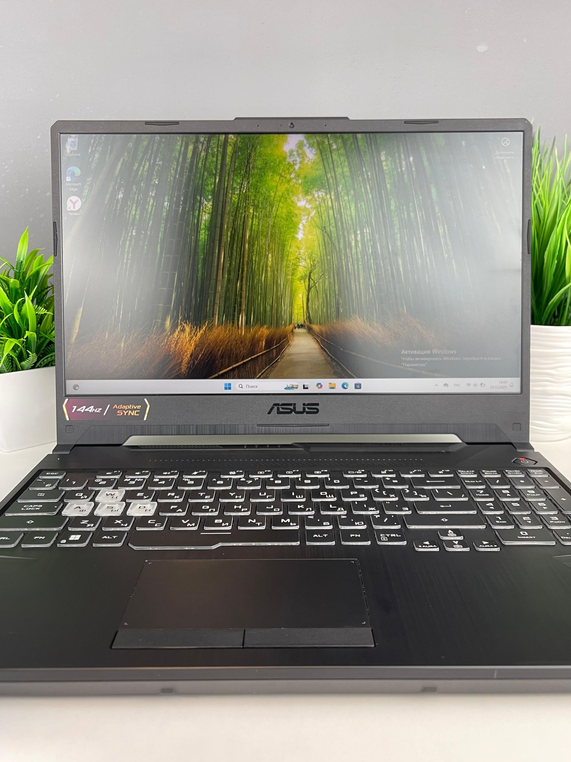 Asus Ryzen 5 (5-е поколение) 2023 (6 ядер / 12 потоков)