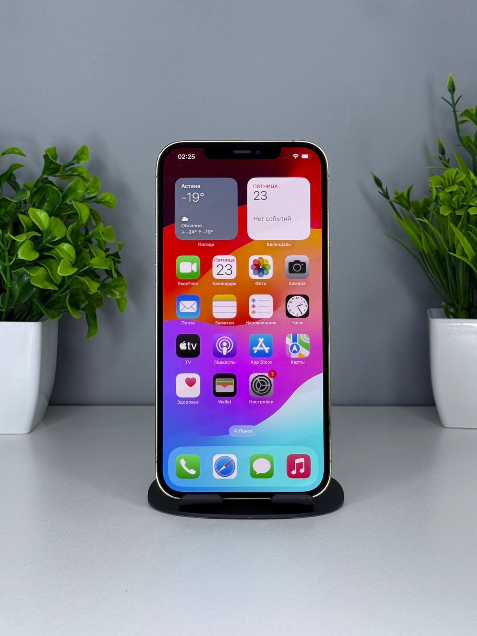 iPhone 12 Pro Max 256 GB