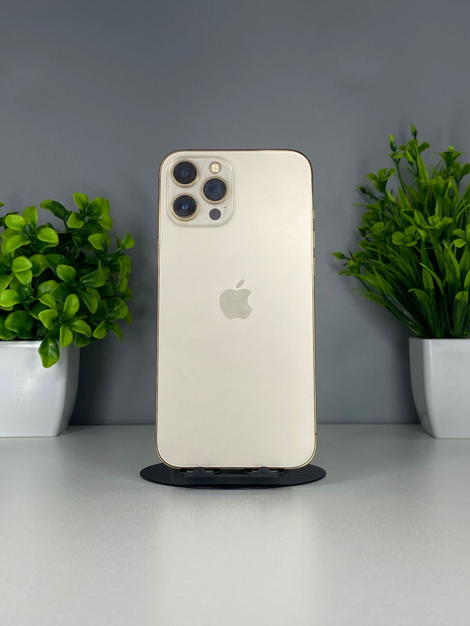 69200a773618191671452616 - фото_0