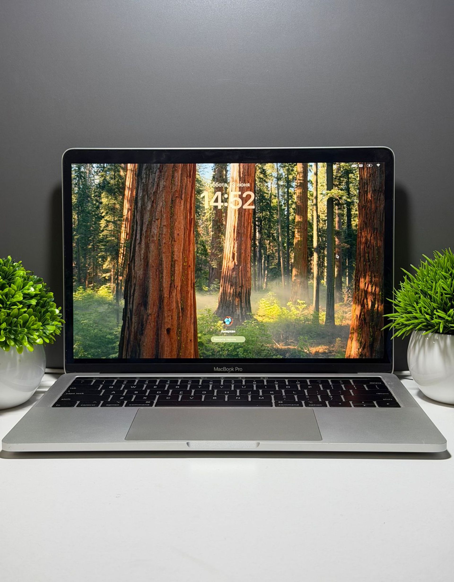 Ноутбук Apple Pro  Intel Core i5  8-поколение  ядер 8 GB 500 GB 13 дюймов