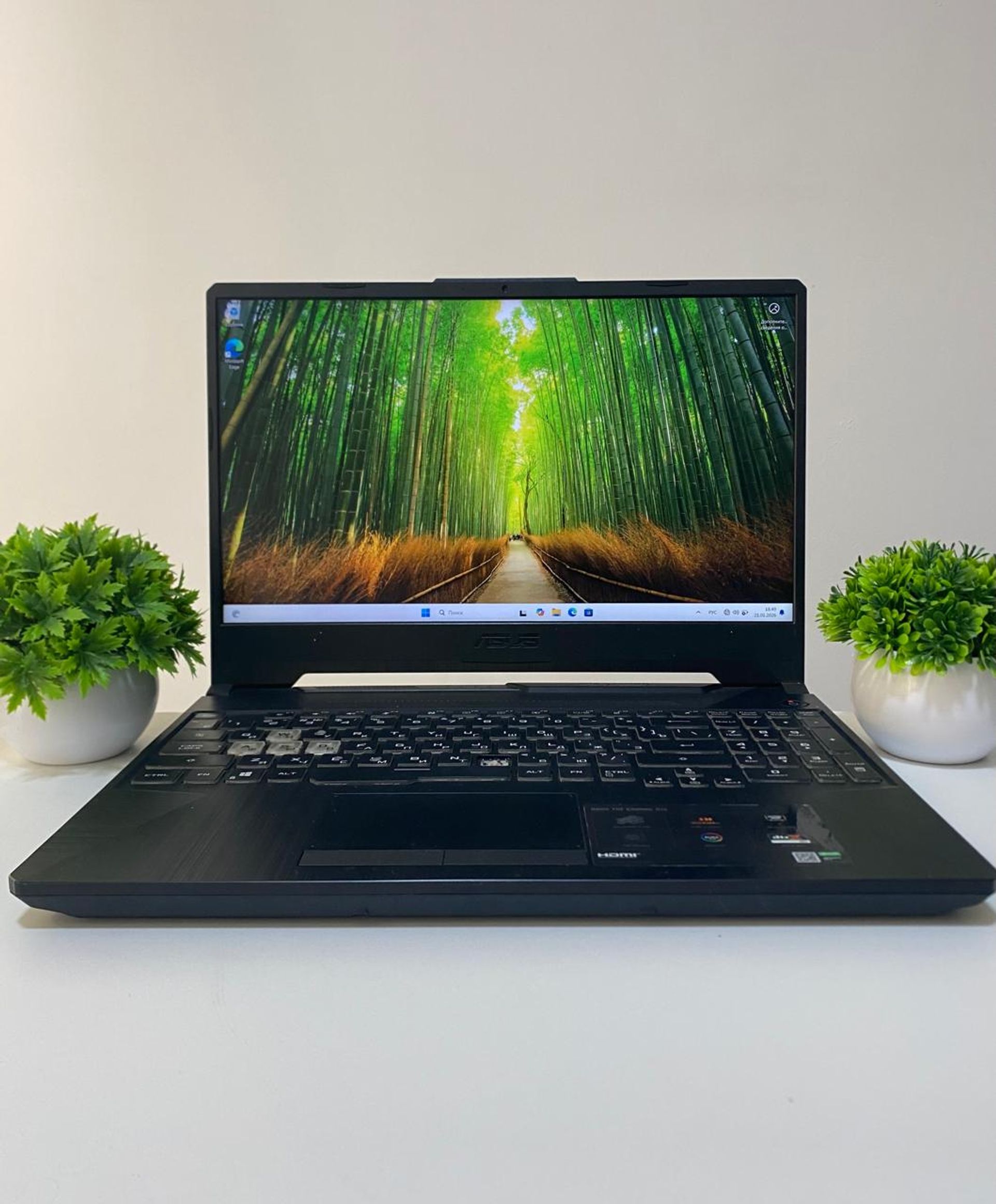 Asus Ryzen 5 (4-е поколение) 2020-2022 (6 ядер / 12 потоков)