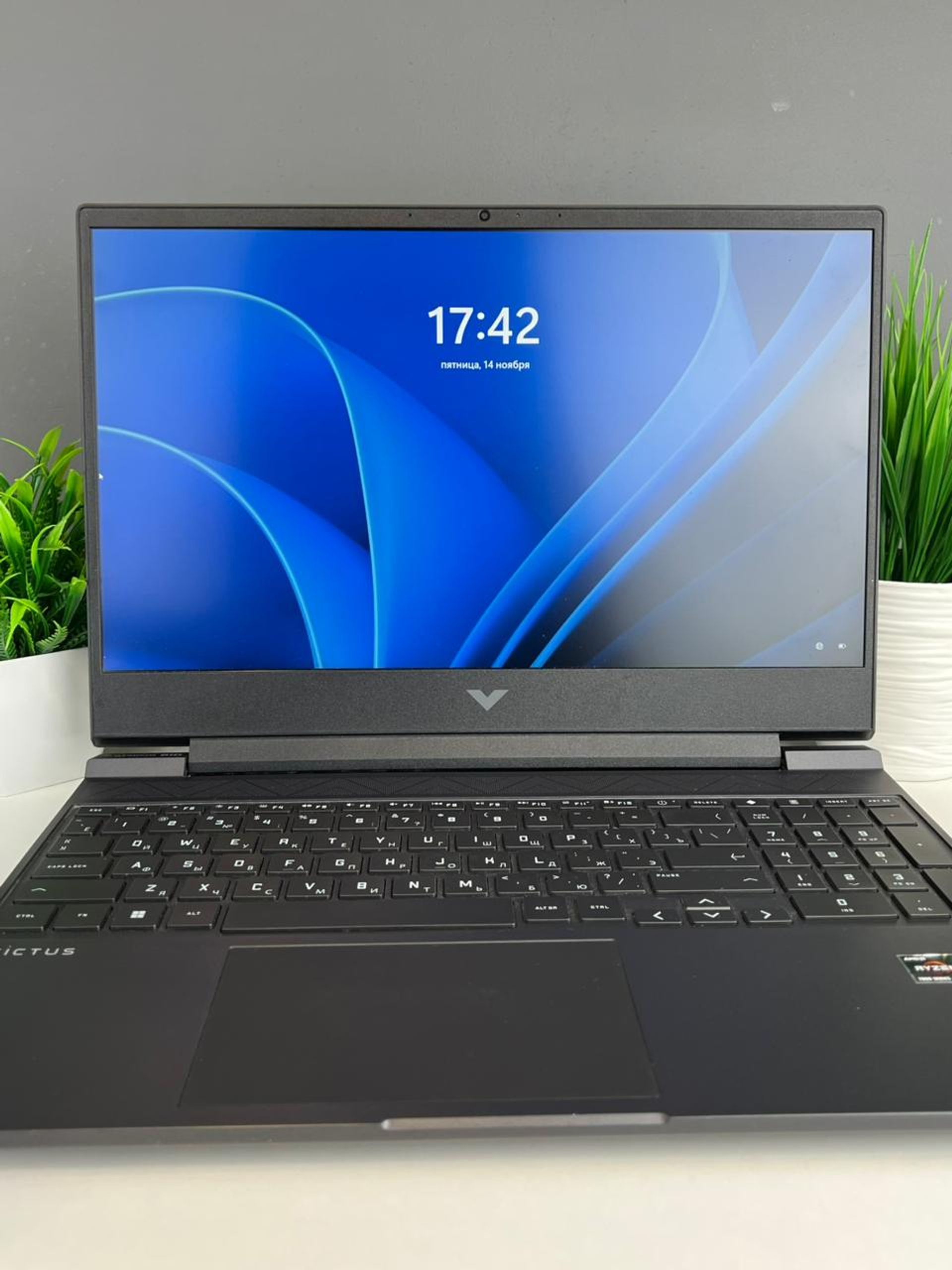 6915e46d3618191671877812 - фото_2