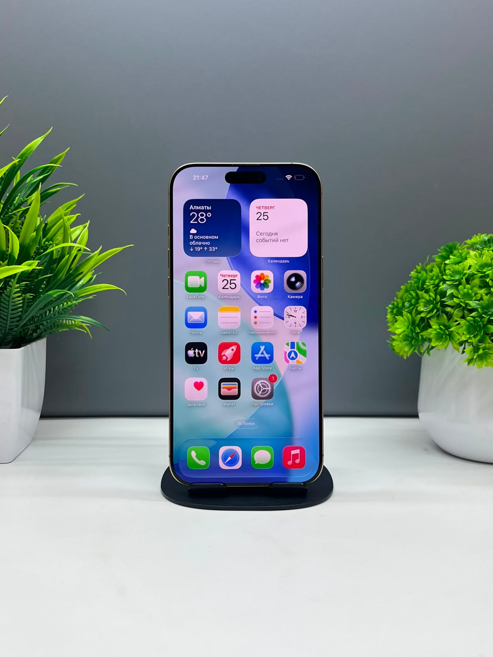 Apple iPhone 16 Pro Max  256 GB