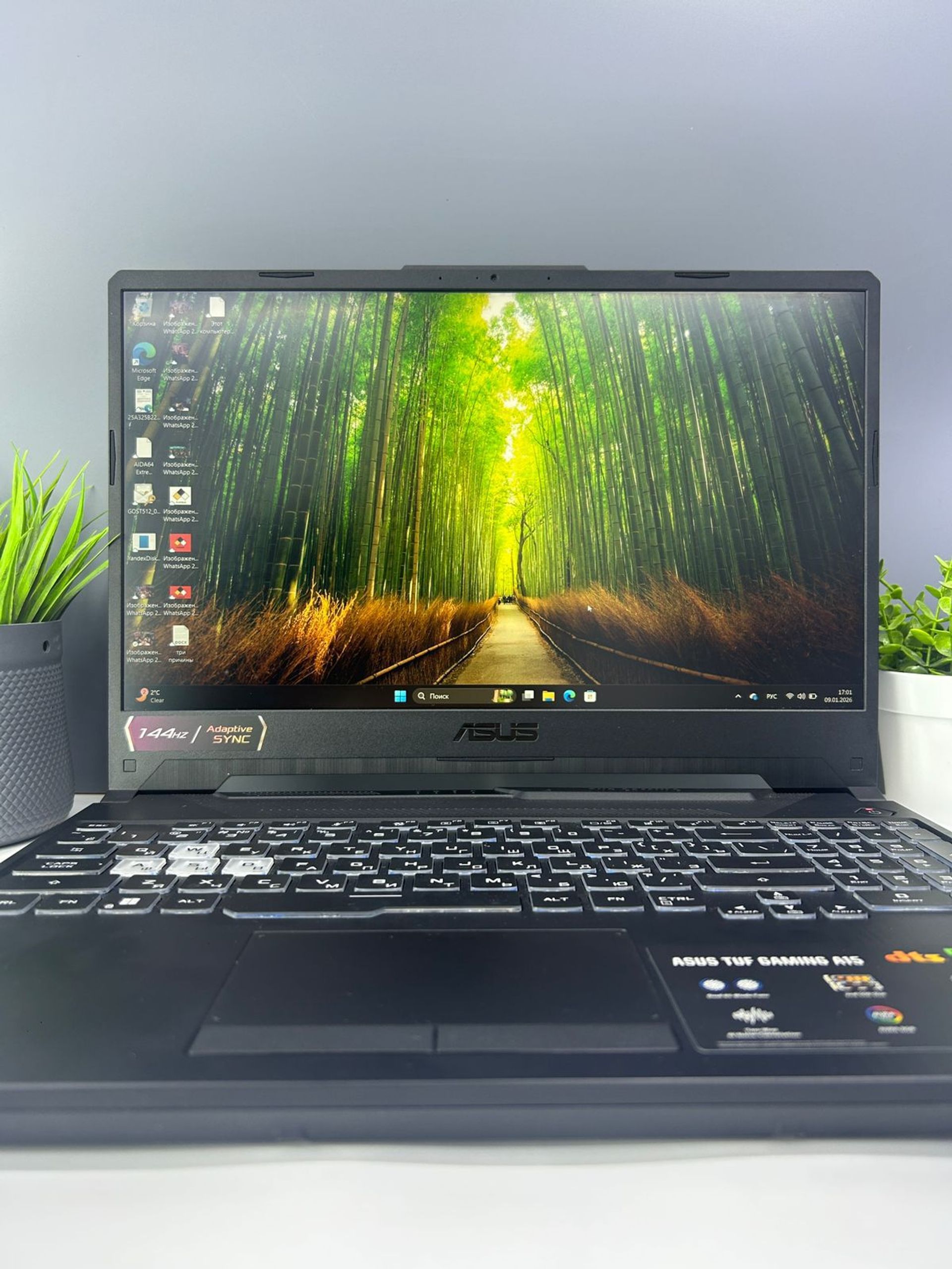 Asus Ryzen 5 (5-е поколение) 2023 (6 ядер / 12 потоков)