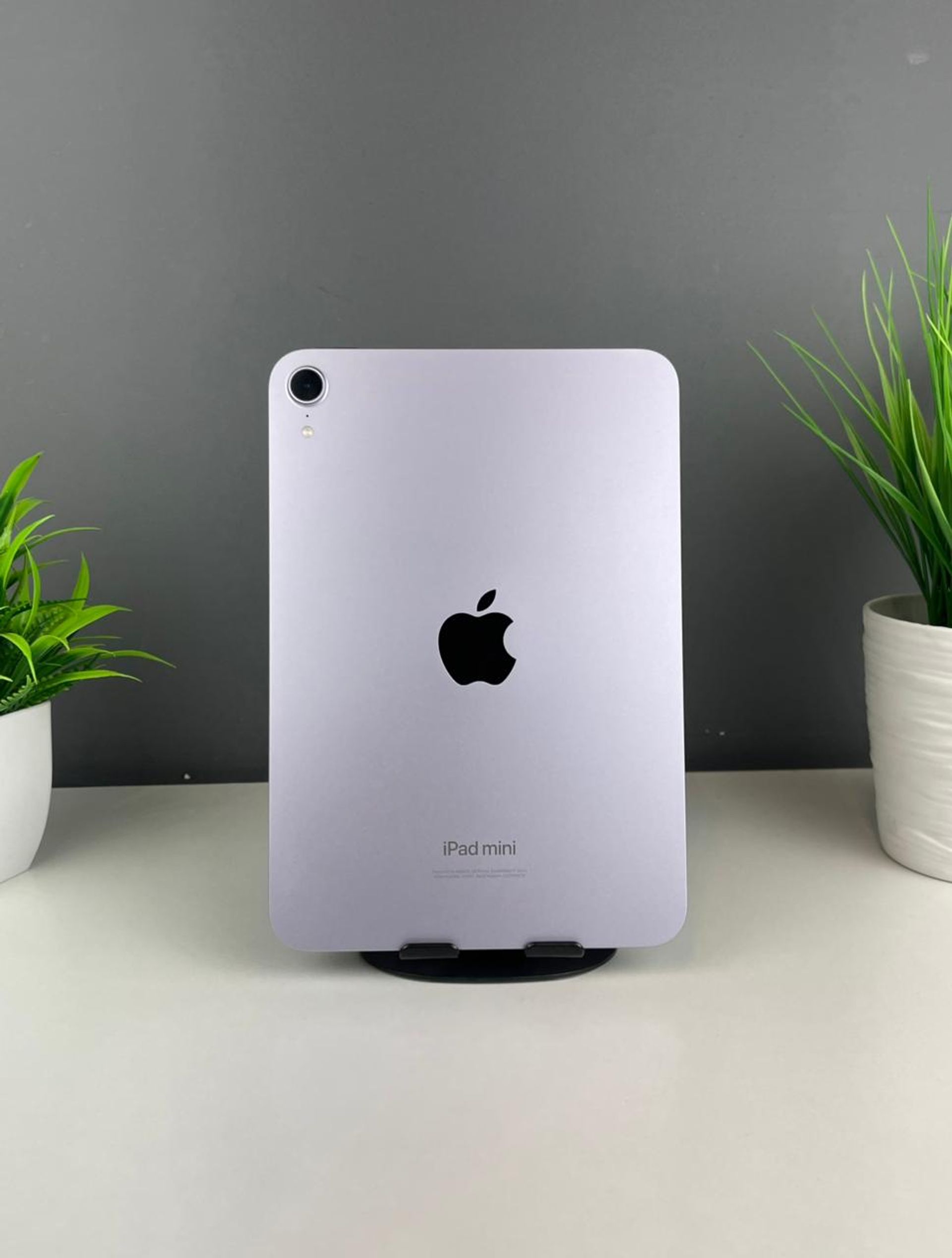Apple iPad mini 8.3