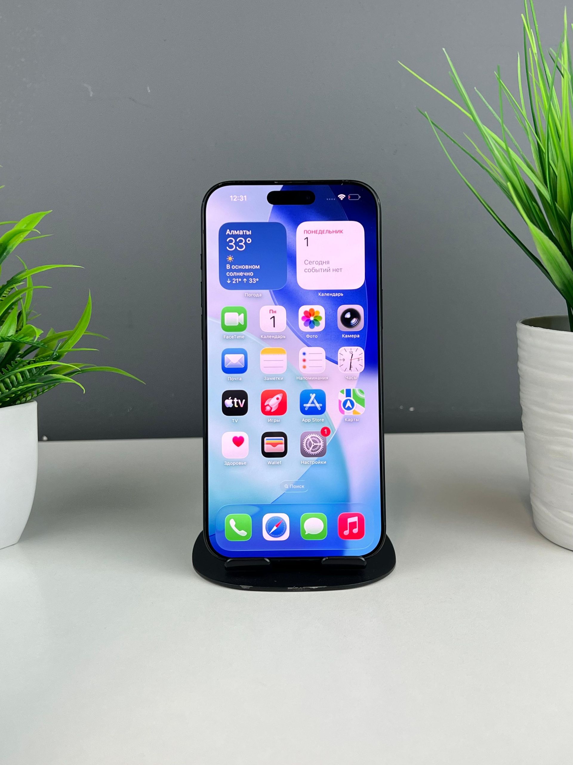 Apple iPhone 16 Pro Max  256 GB