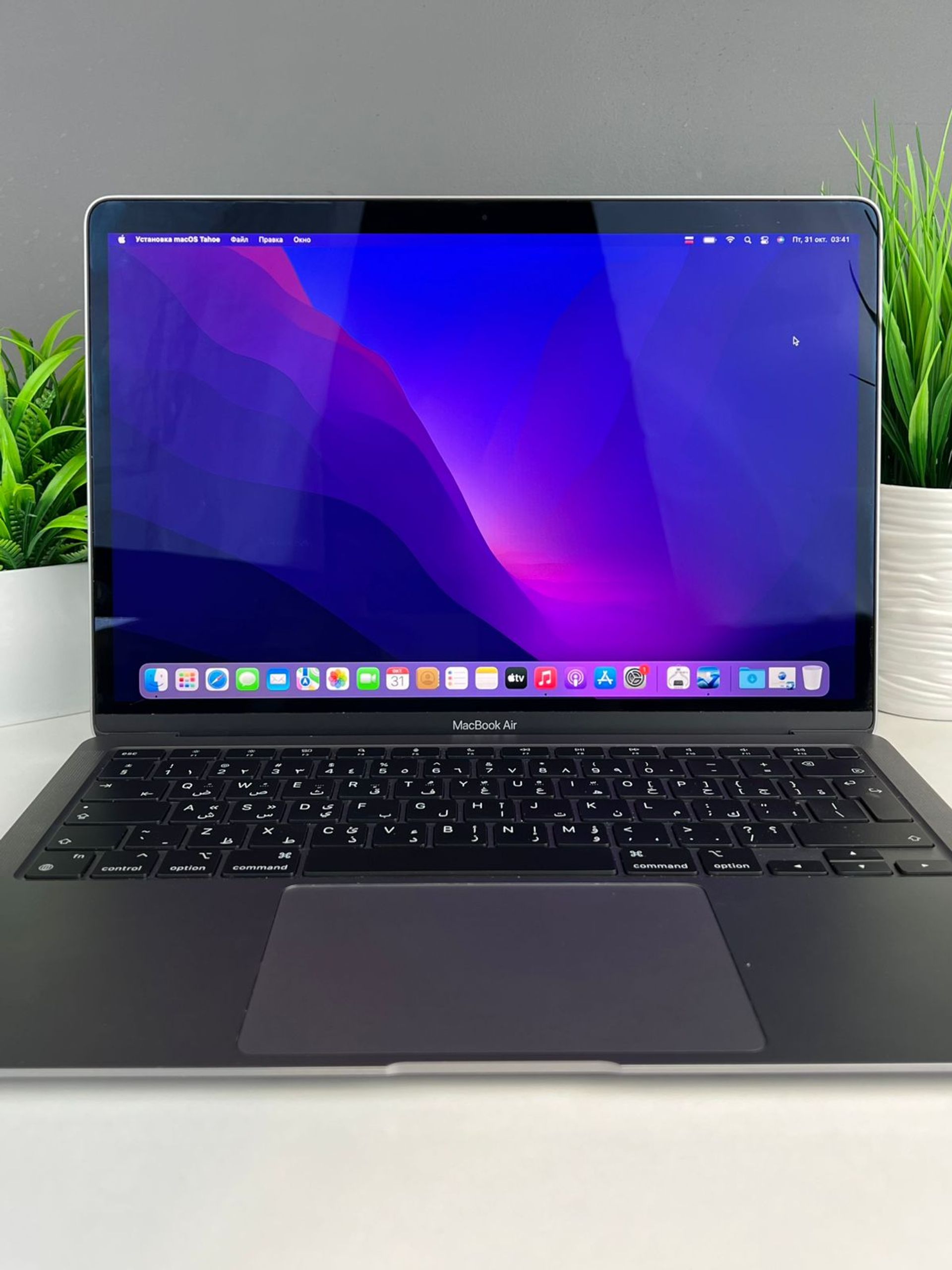 6900803dea01ee8d143368be - фото_2