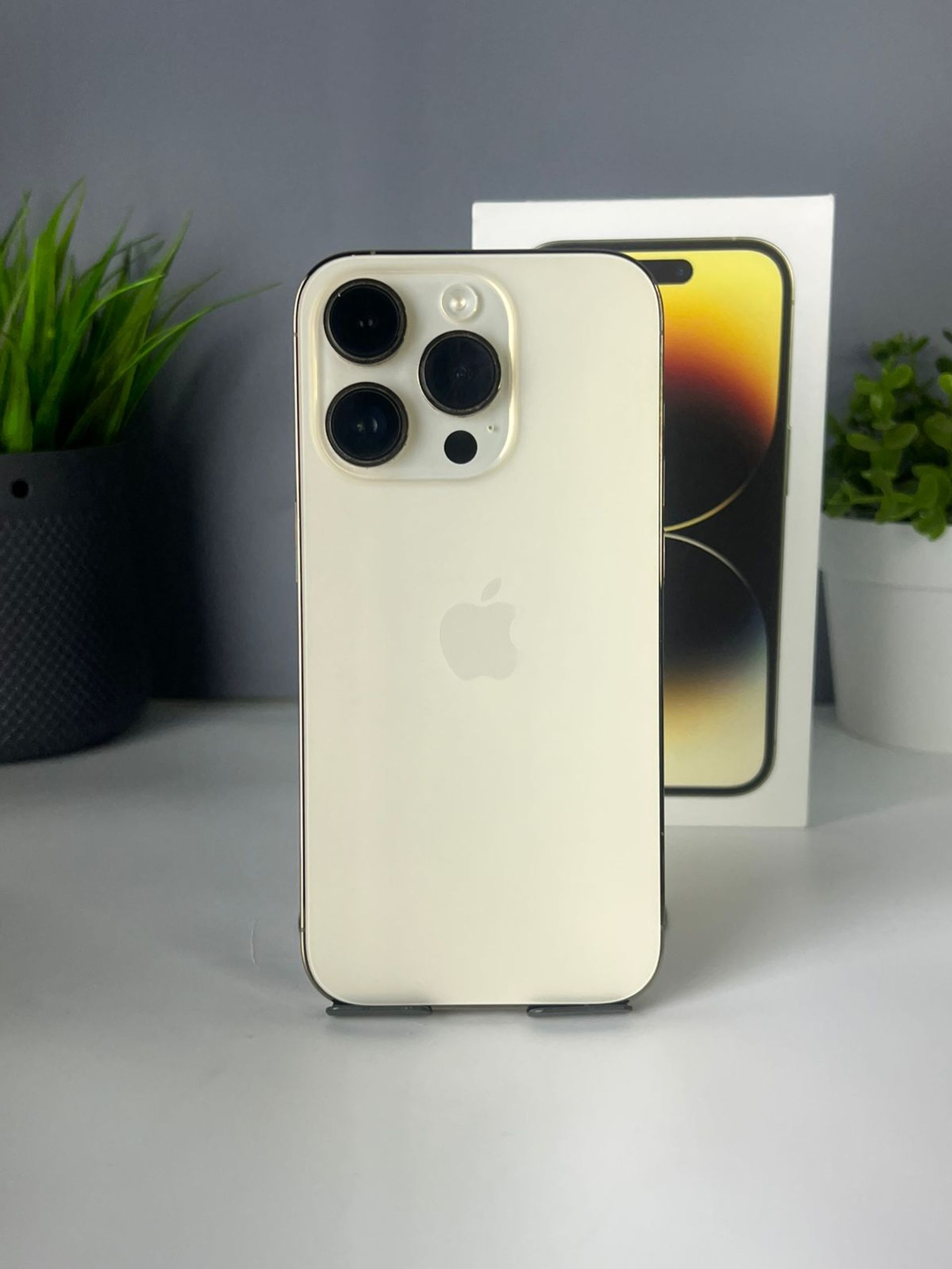 691e26733618191671f32c82 - фото_0