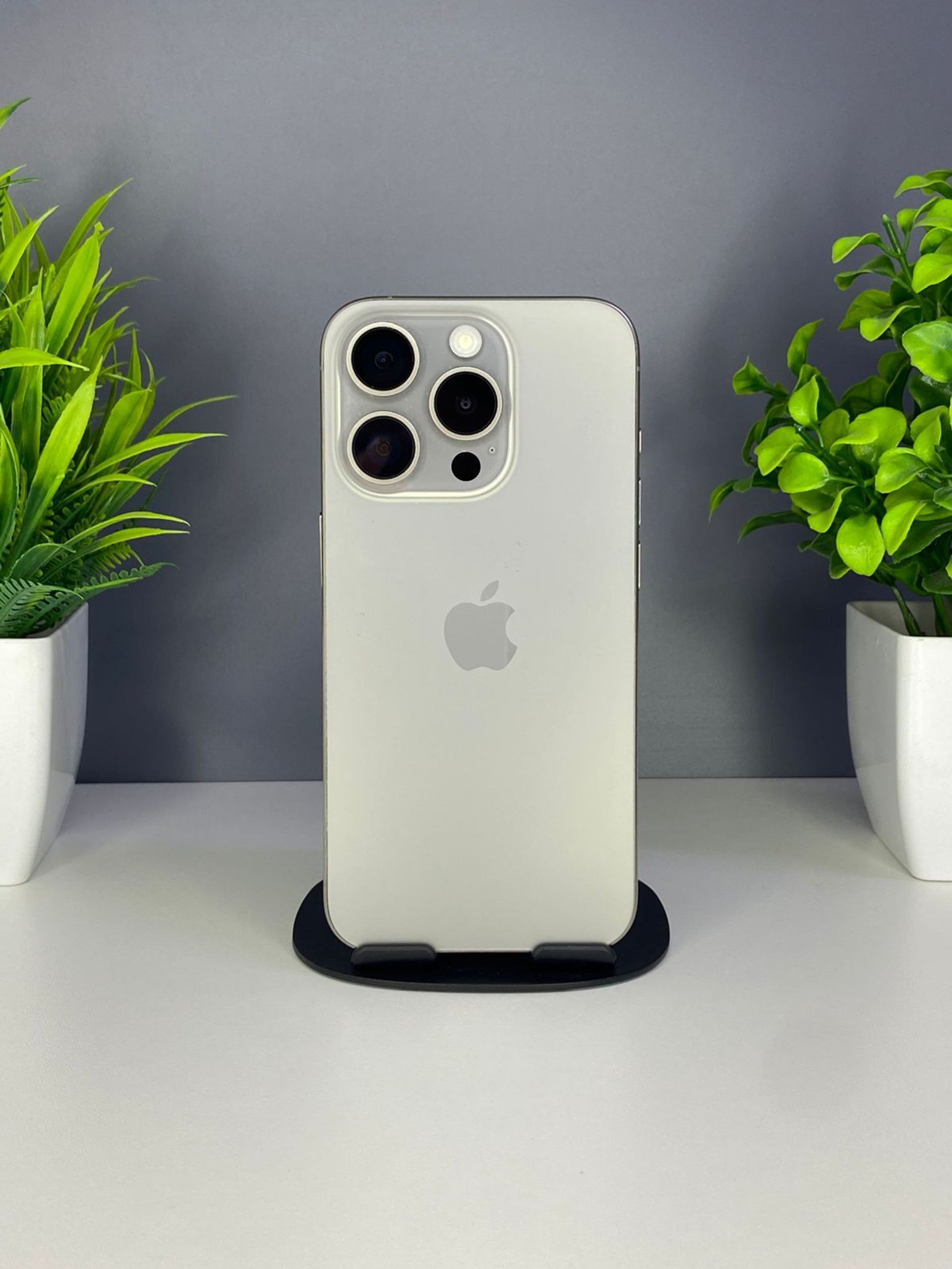 6924466e3618191671fd8bc5 - фото_0