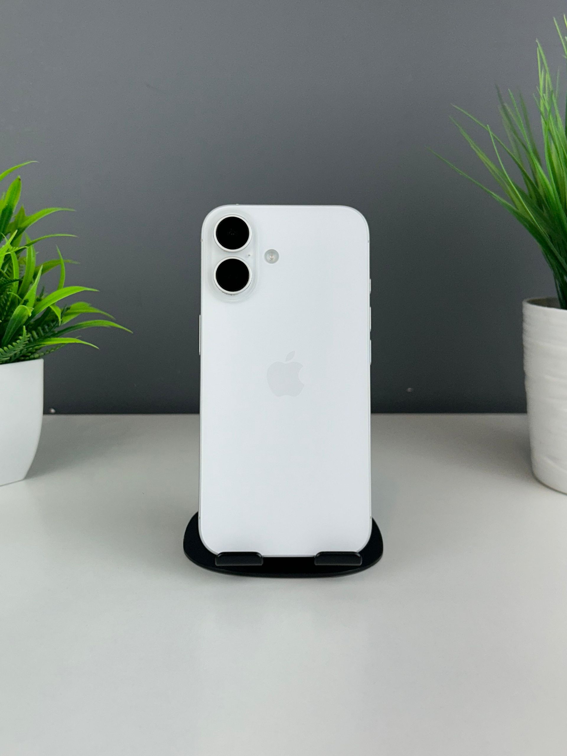 6924548f3618191671011183 - фото_0