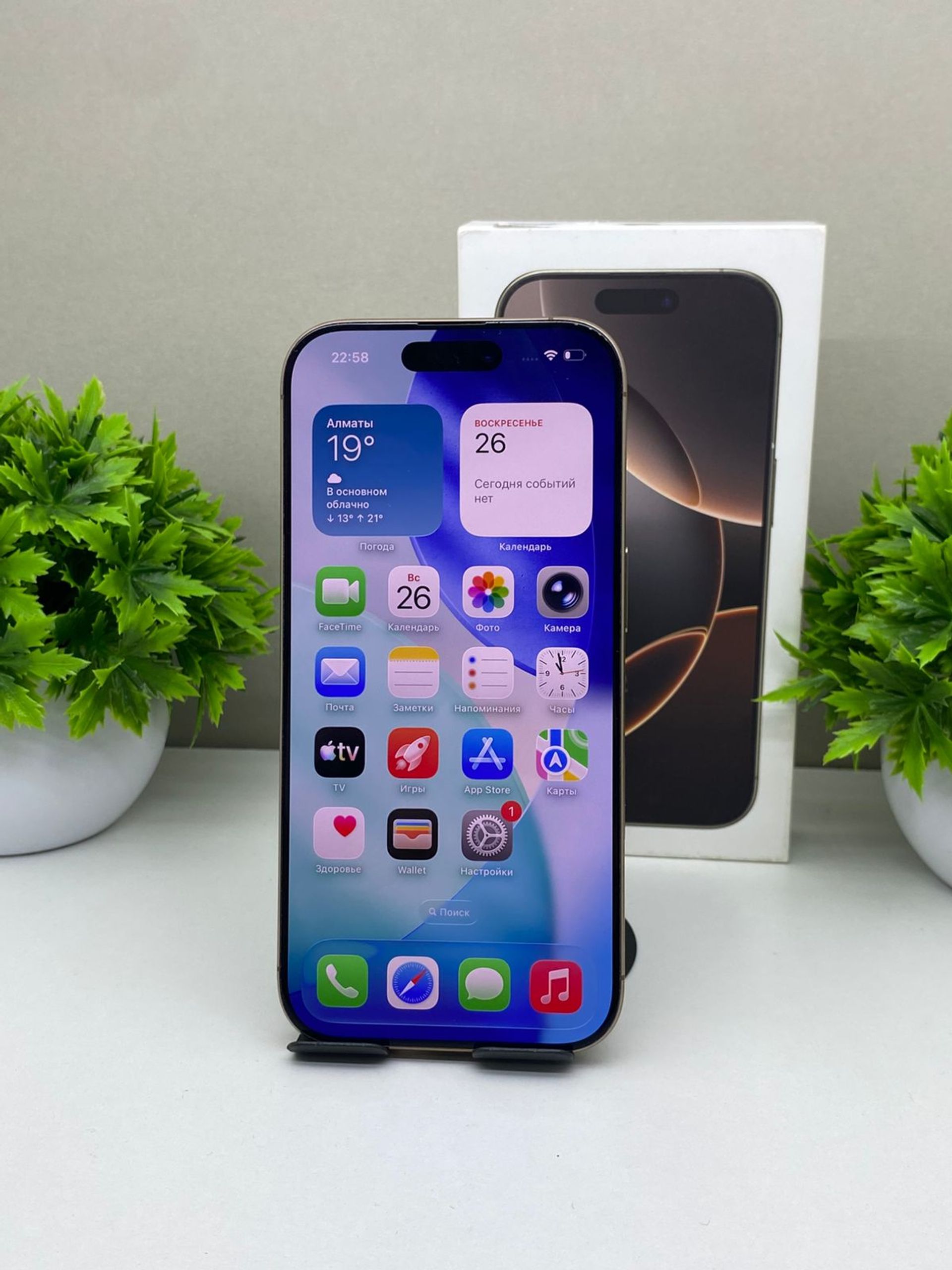 Apple iPhone 16 Pro 256 GB
