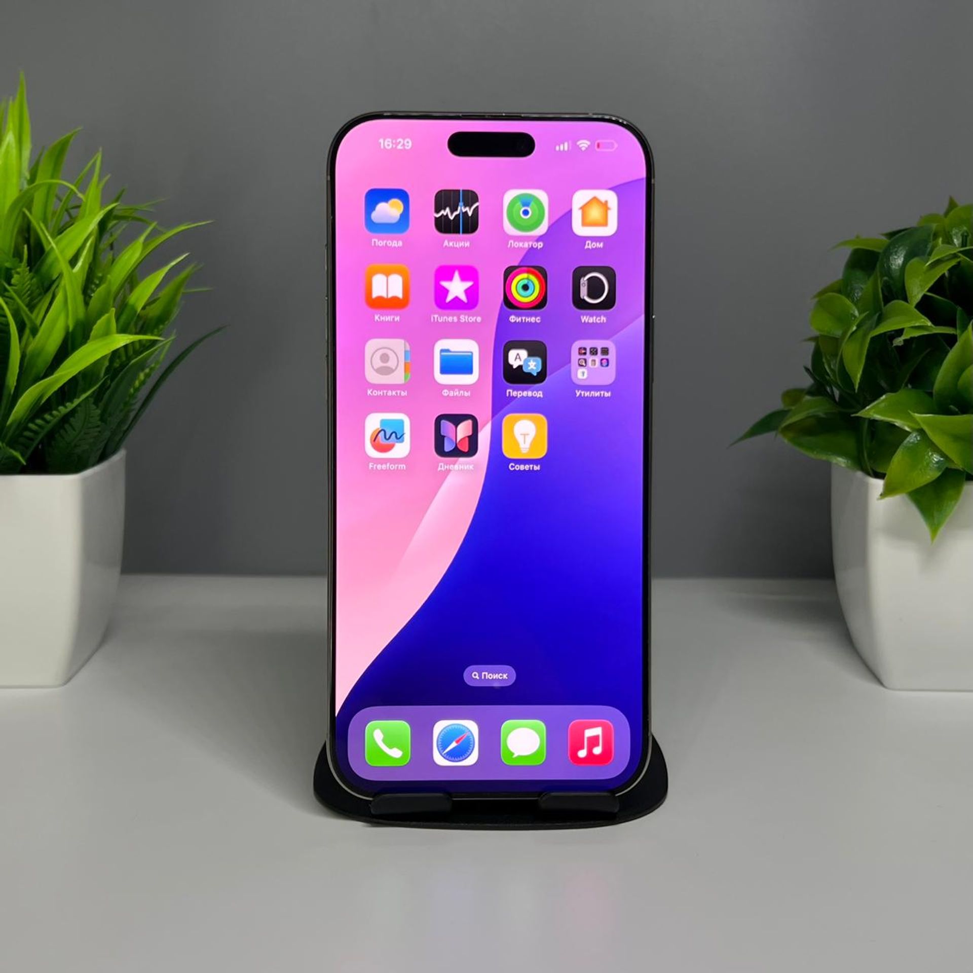 6901bb77ea01ee8d14656450 - фото_1