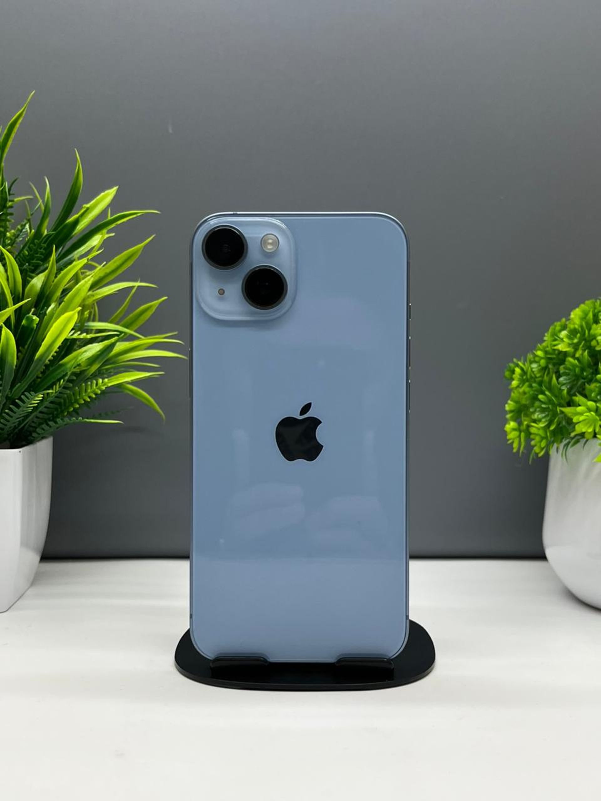 69003c43ea01ee8d1426cd4d - фото_0