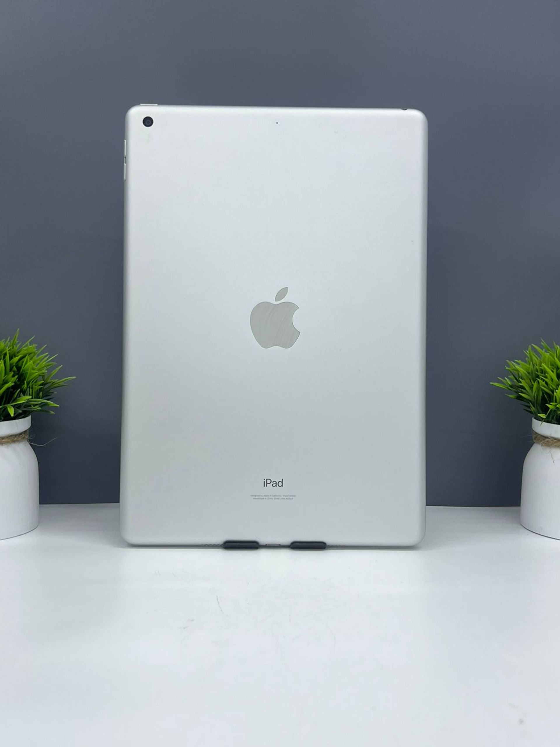 Apple iPad 10.9