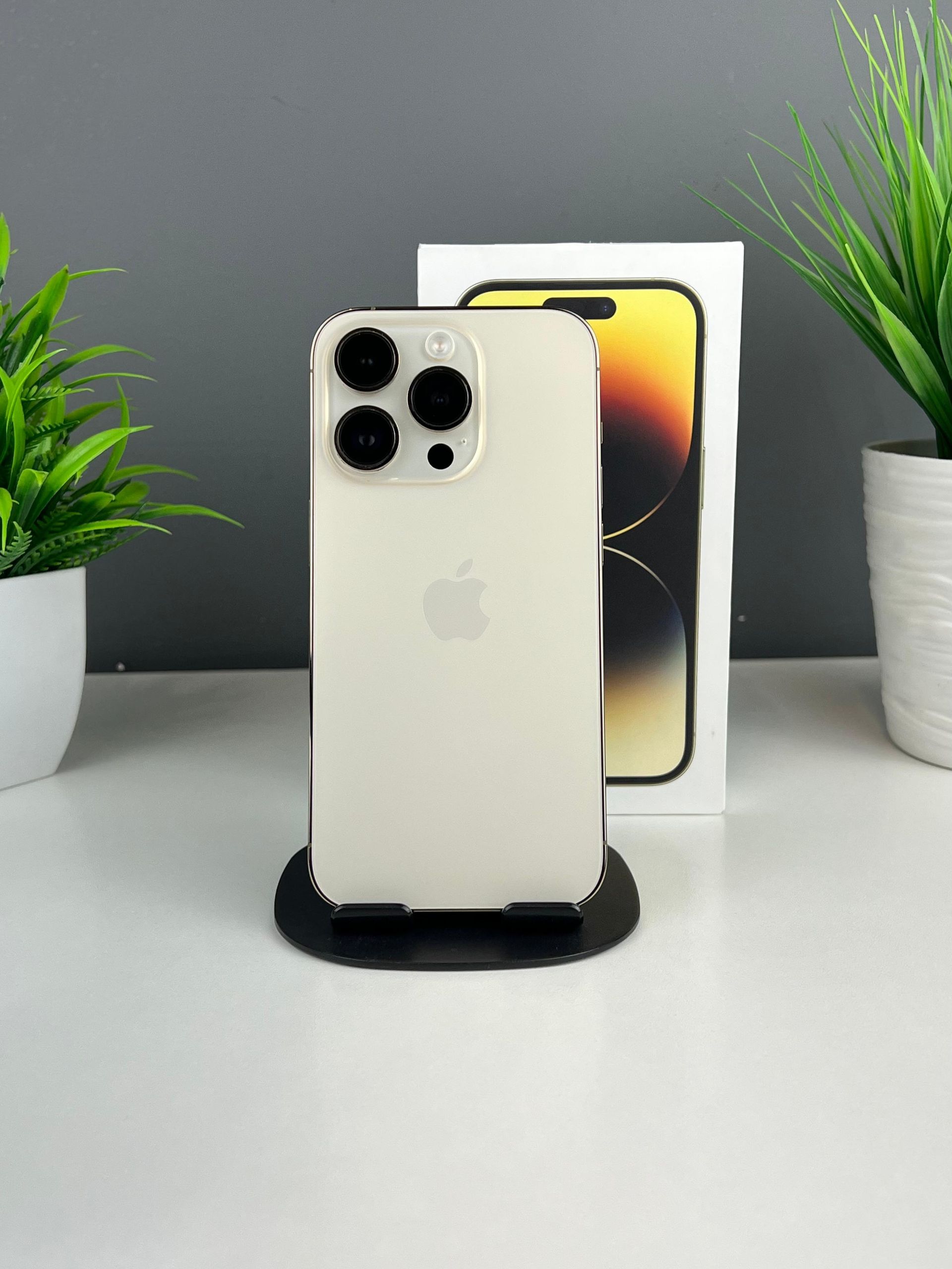 69398d503618191671409376 - фото_0