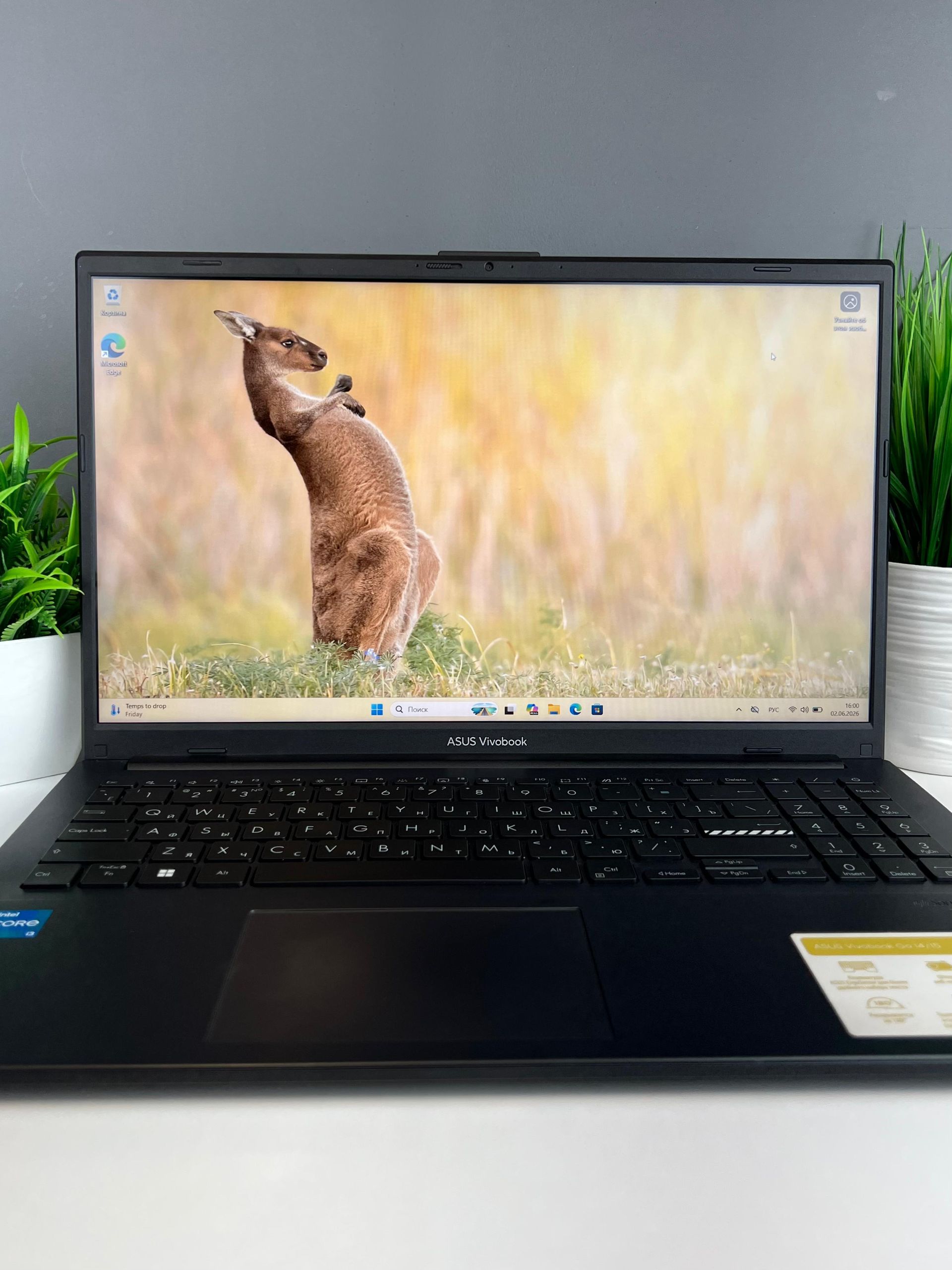 Ноутбук Asus Для работы и учебы  Intel Core i3  12-поколение  ядер 8 GB 256 GB 15 дюймов