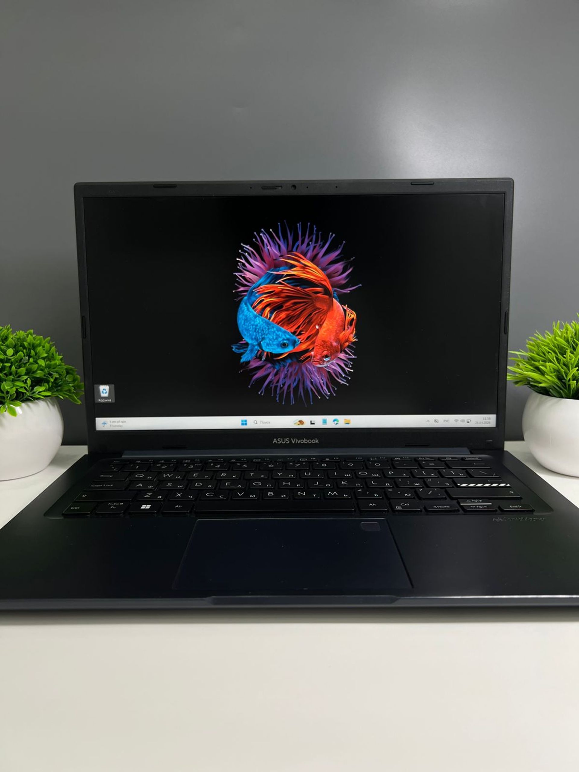 Ноутбук Asus core i3/12-пок  Intel Core i3  12-поколение  ядер 8 GB 256 GB 14 дюймов