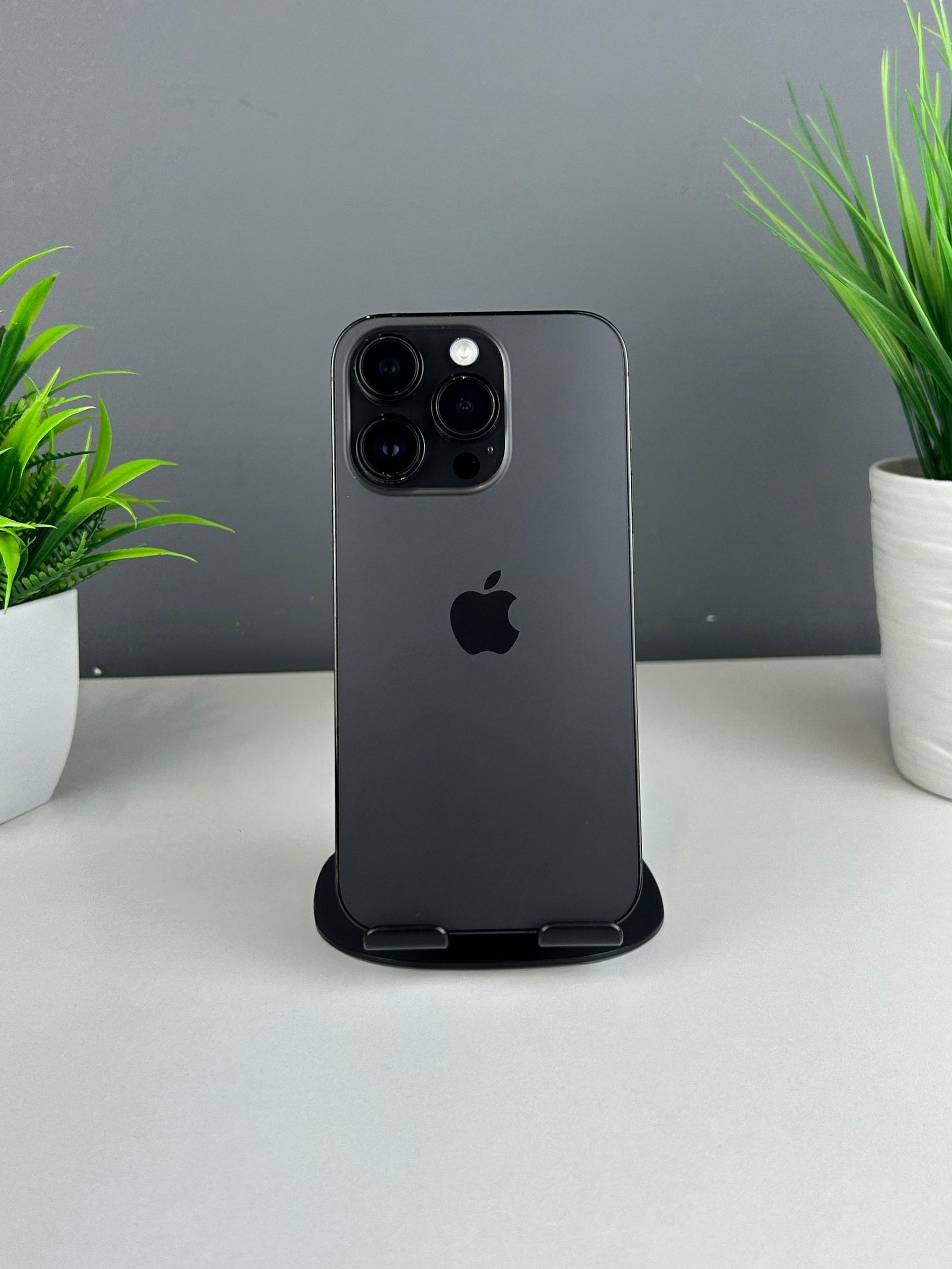 6925680d361819167137cf50 - фото_0