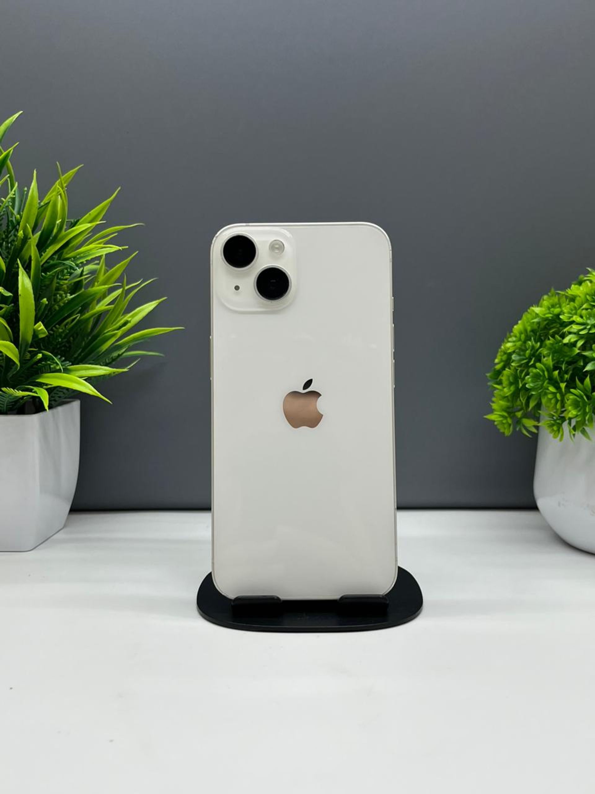 692afa1336181916713e4a45 - фото_0