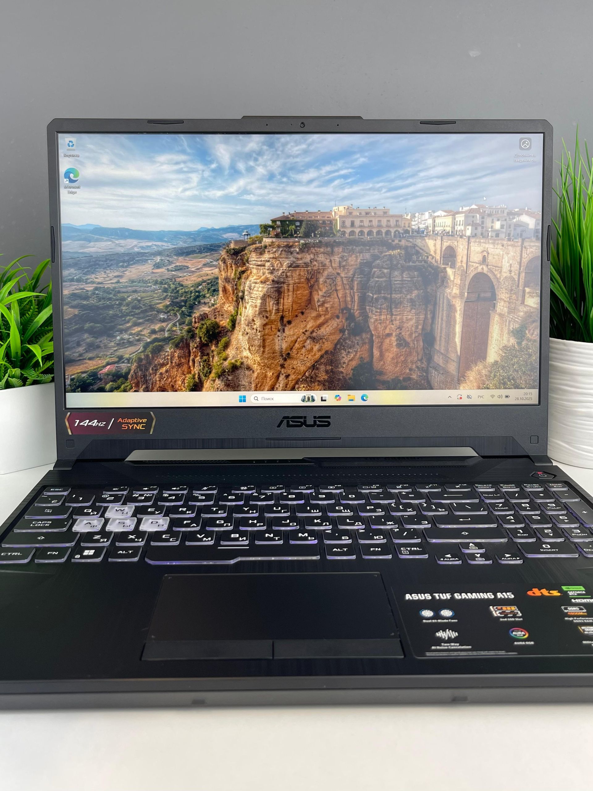 68ff405cea01ee8d1402898f - фото_2