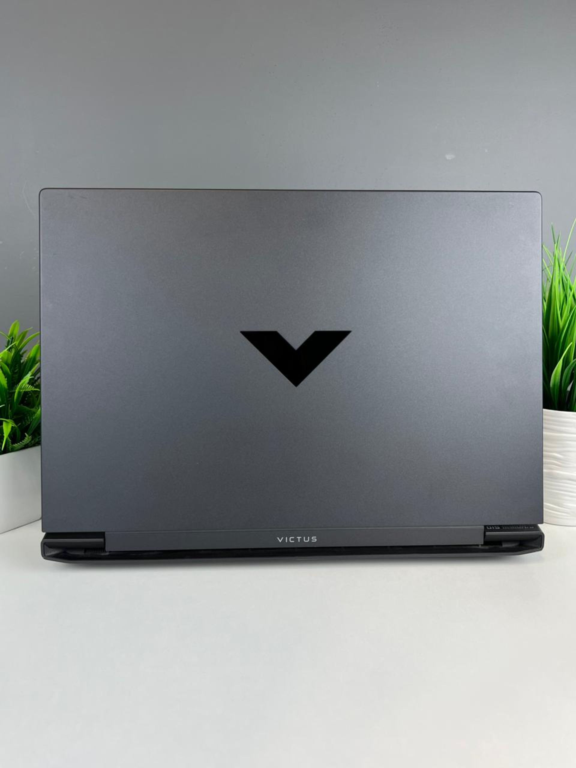 6915e46d3618191671877812 - фото_1