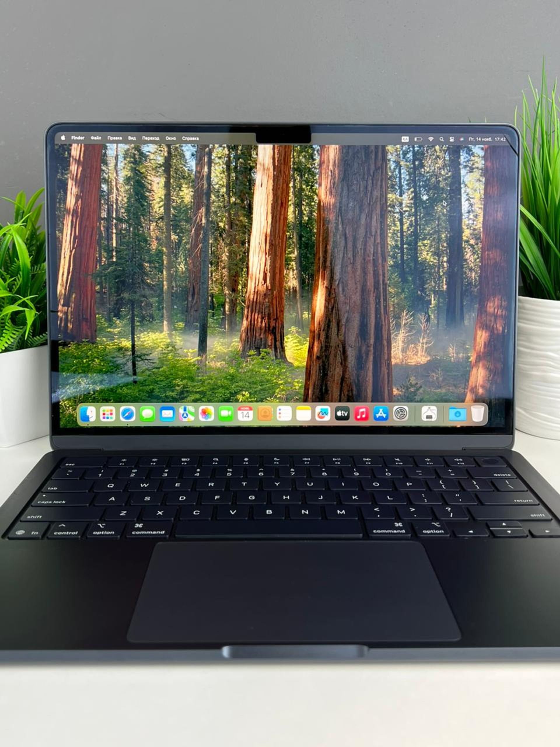 6915b34836181916717c2a04 - фото_2