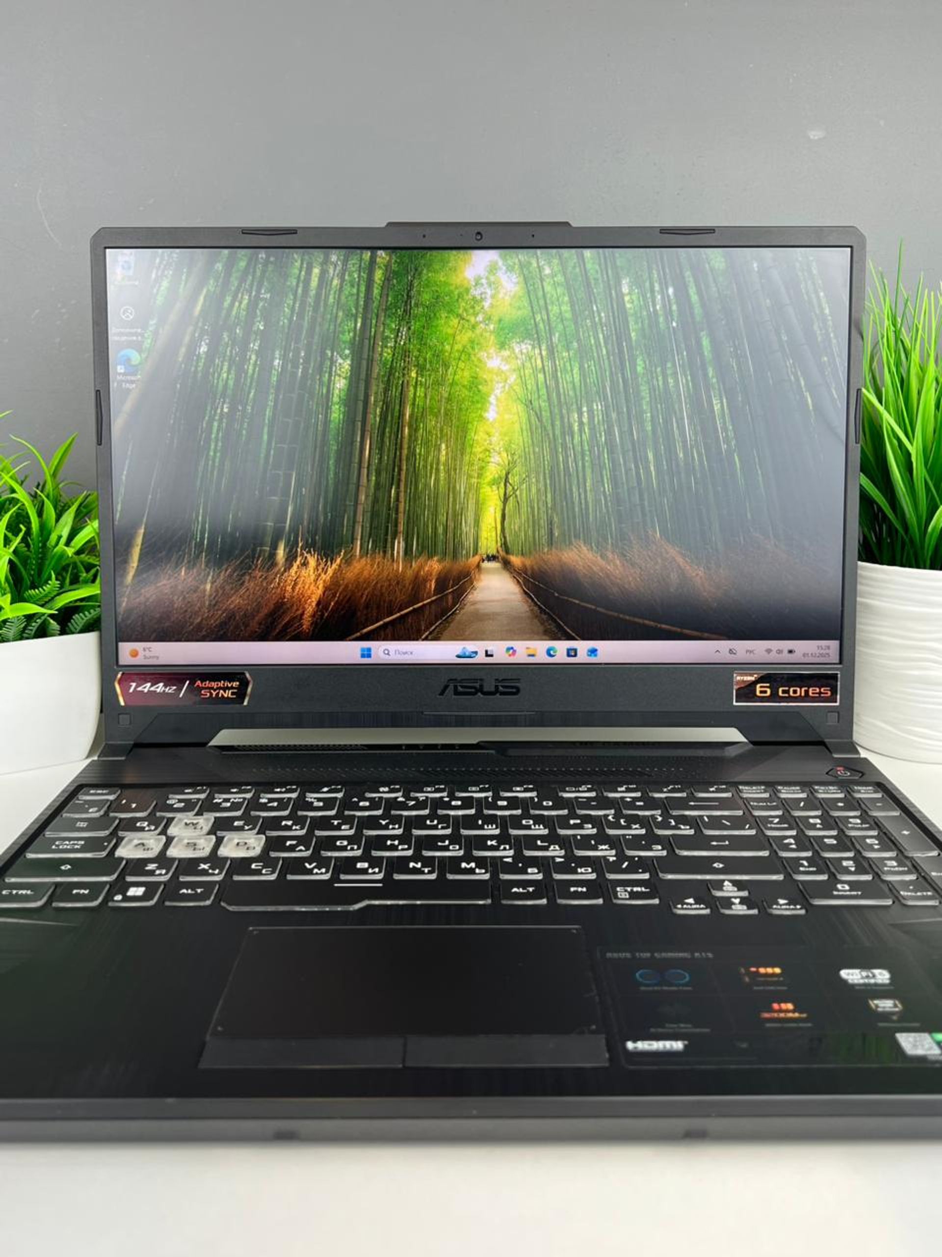 6928076a3618191671b13740 - фото_2