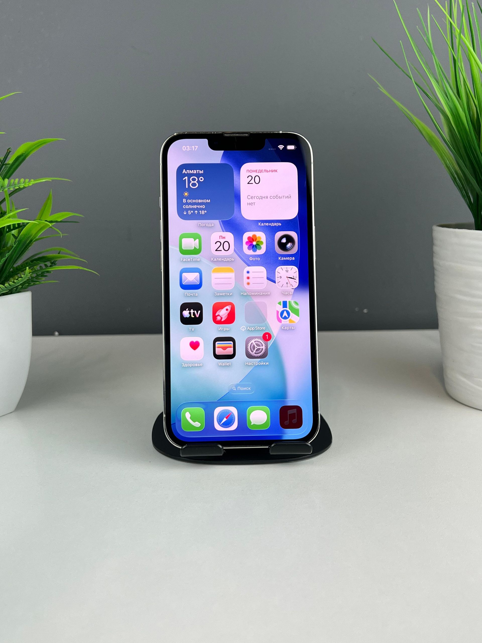 Apple iPhone 13 Pro 256 GB