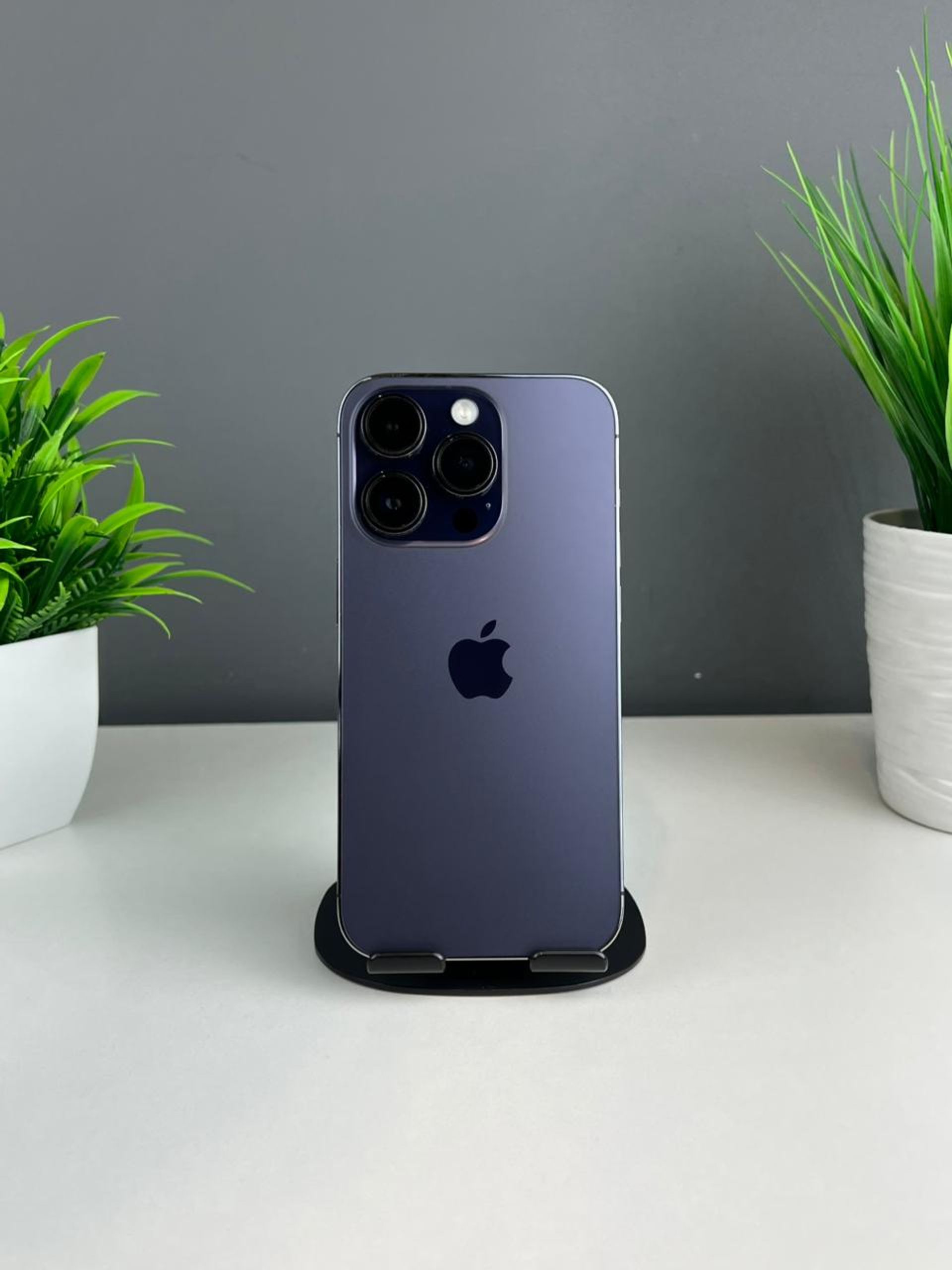 6907677236181916713565f6 - фото_0