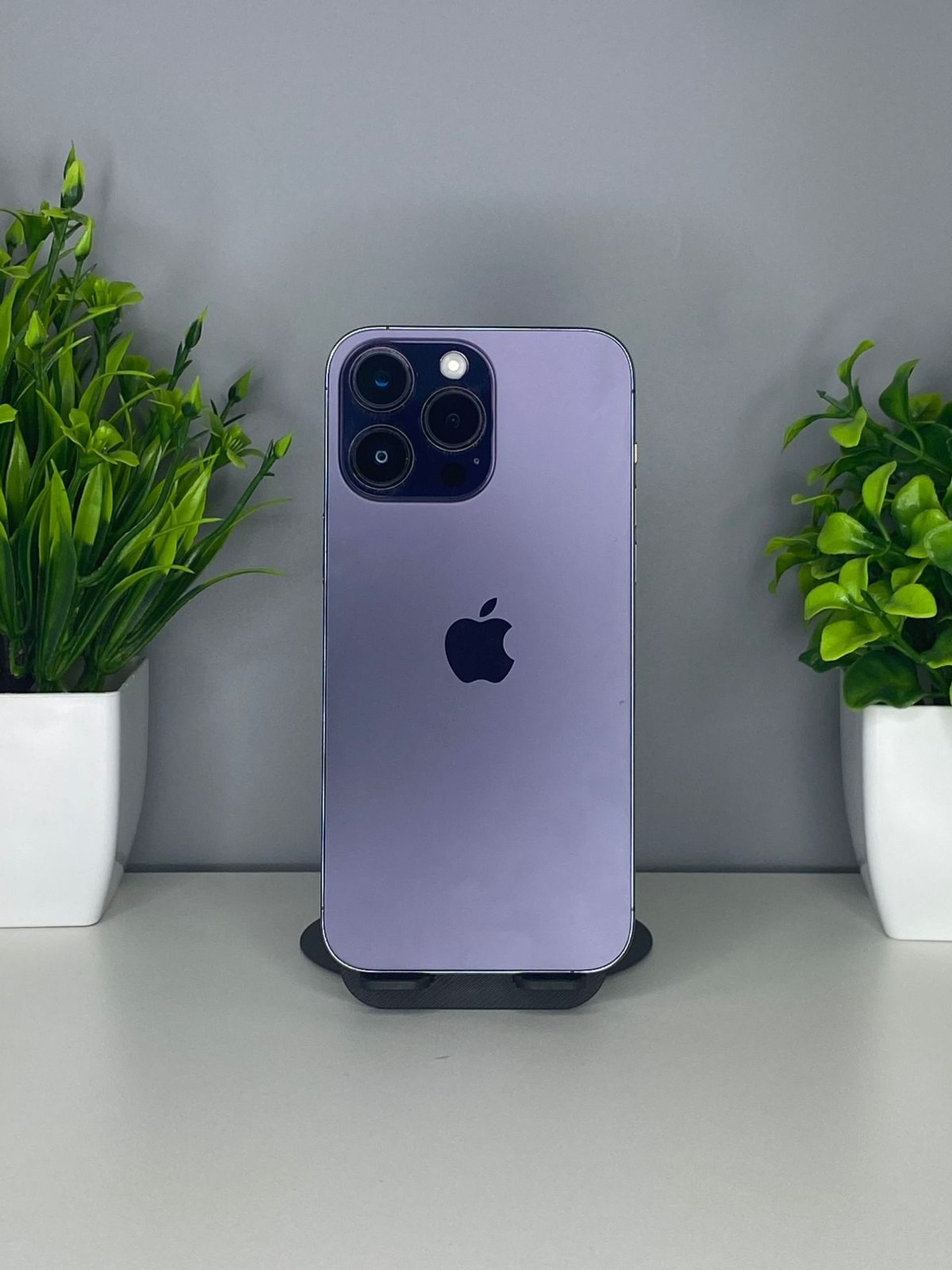 6914089f361819167133227c - фото_0