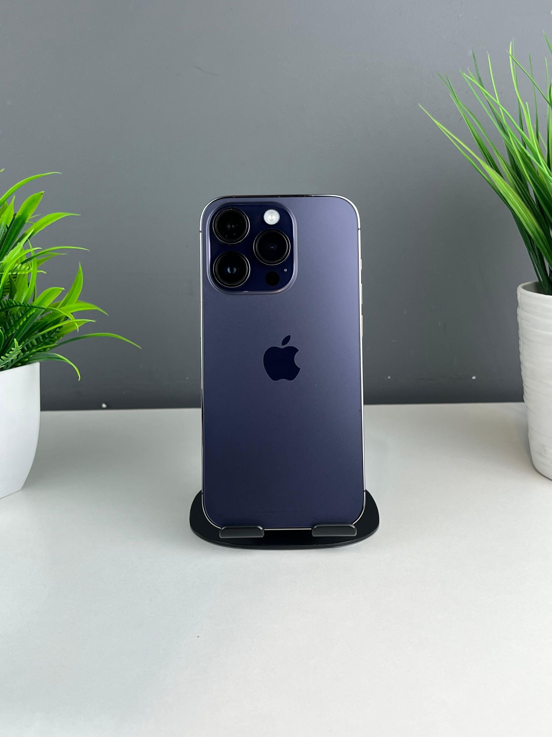 6914491836181916713e9a83 - фото_0