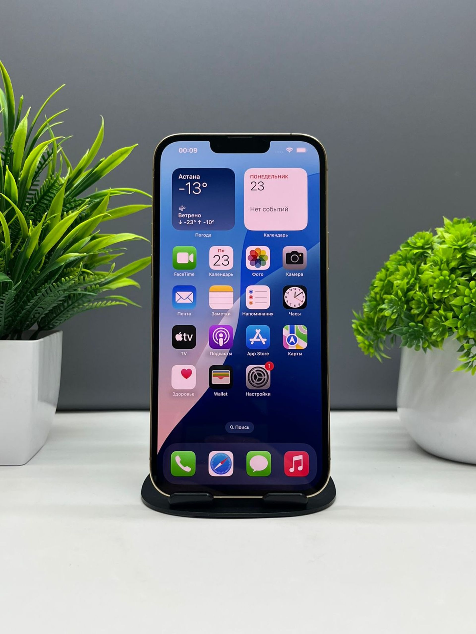 Apple iPhone 13 Pro Max 256GB