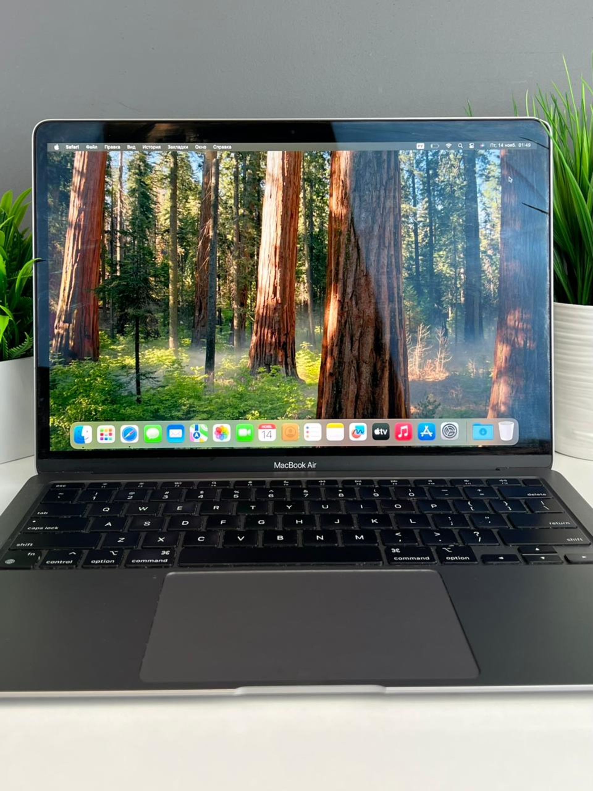 6915e46c36181916718777ca - фото_2