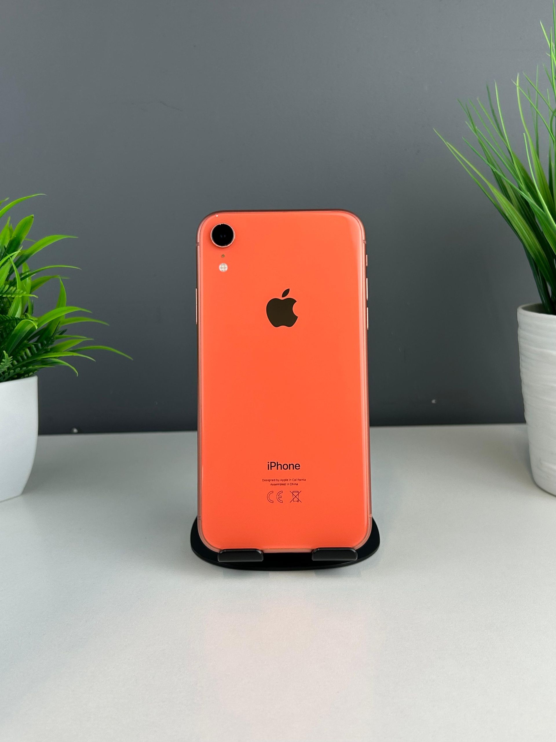 6902368fea01ee8d14802161 - фото_0